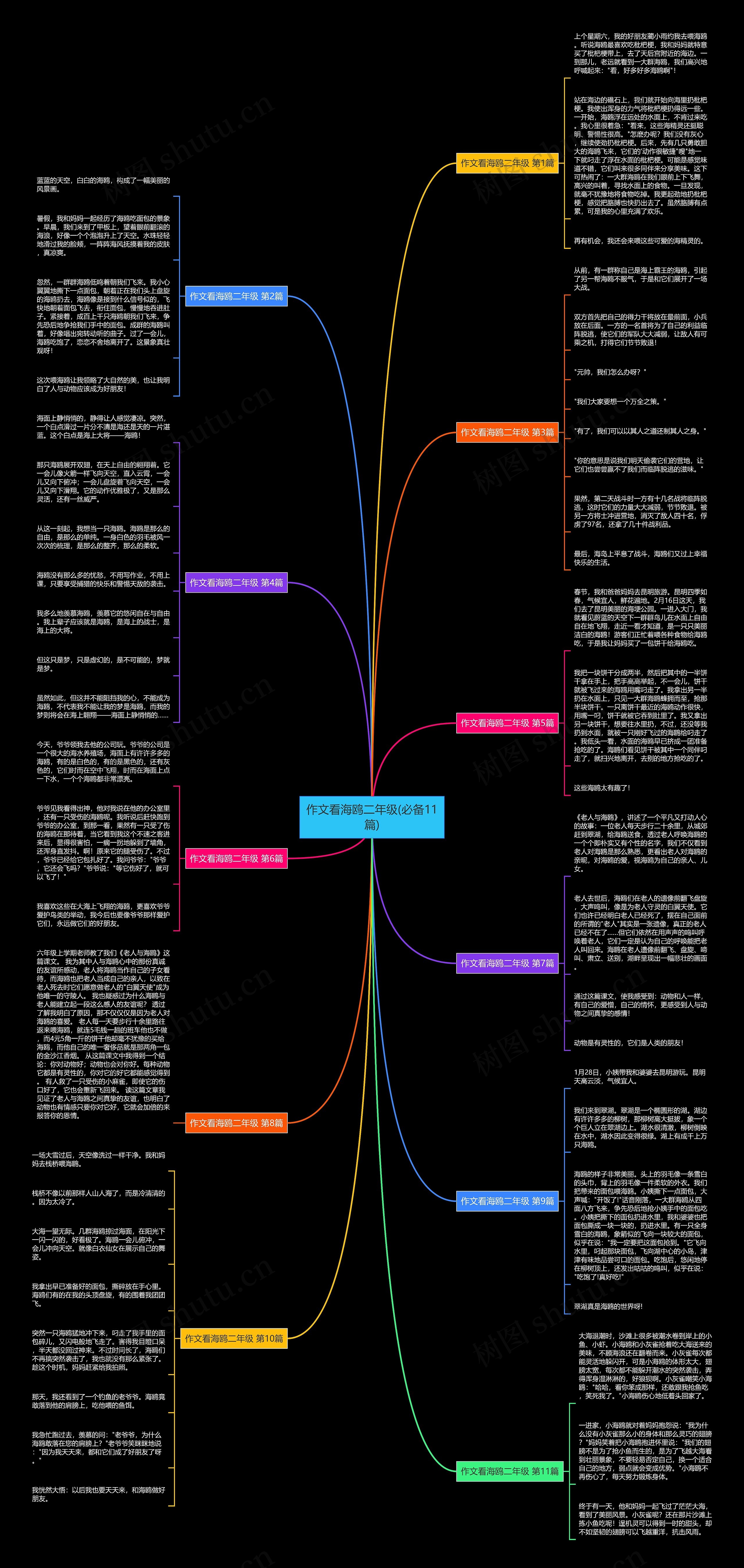 作文看海鸥二年级(必备11篇)