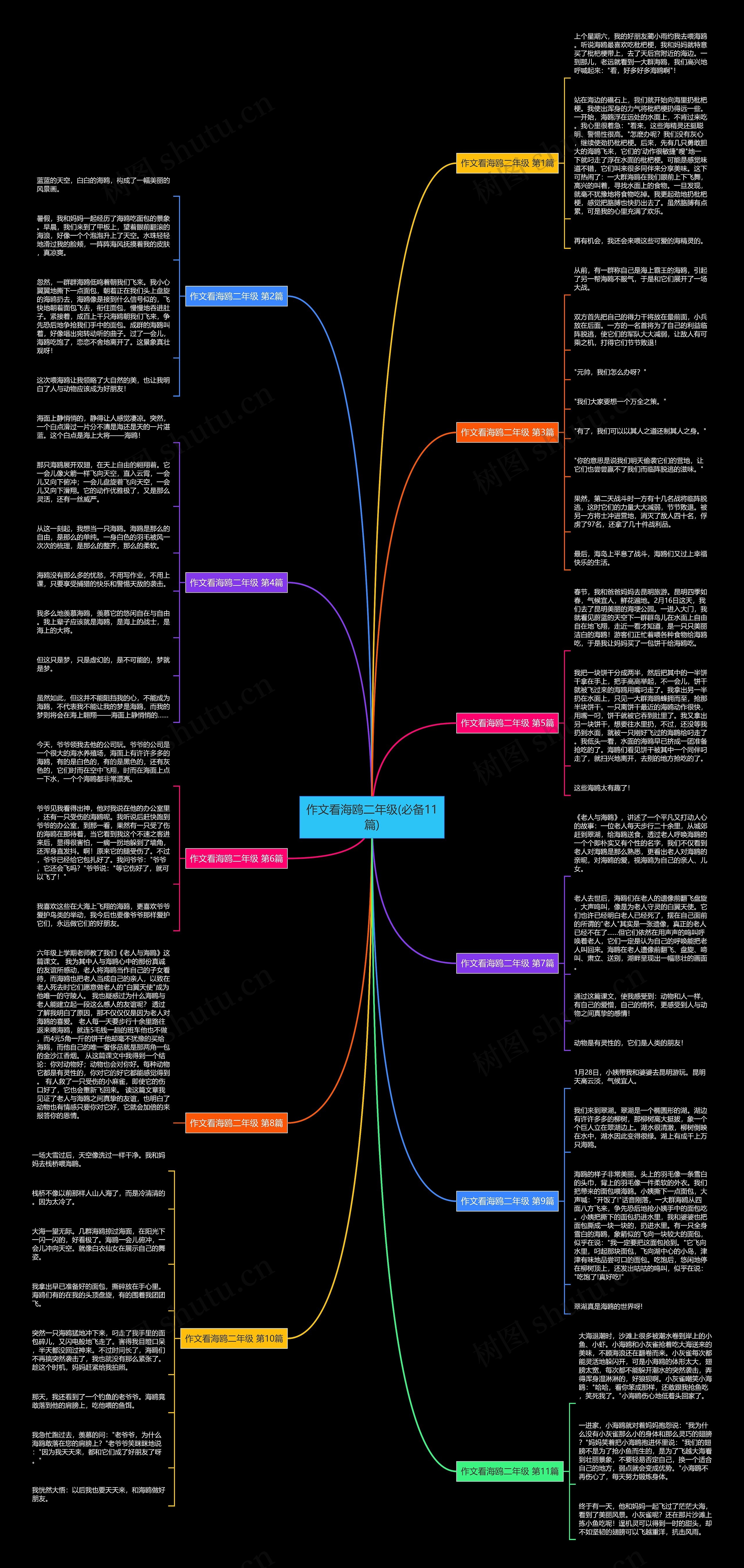 作文看海鸥二年级(必备11篇) 作文看海鸥二年级(必备11篇)
