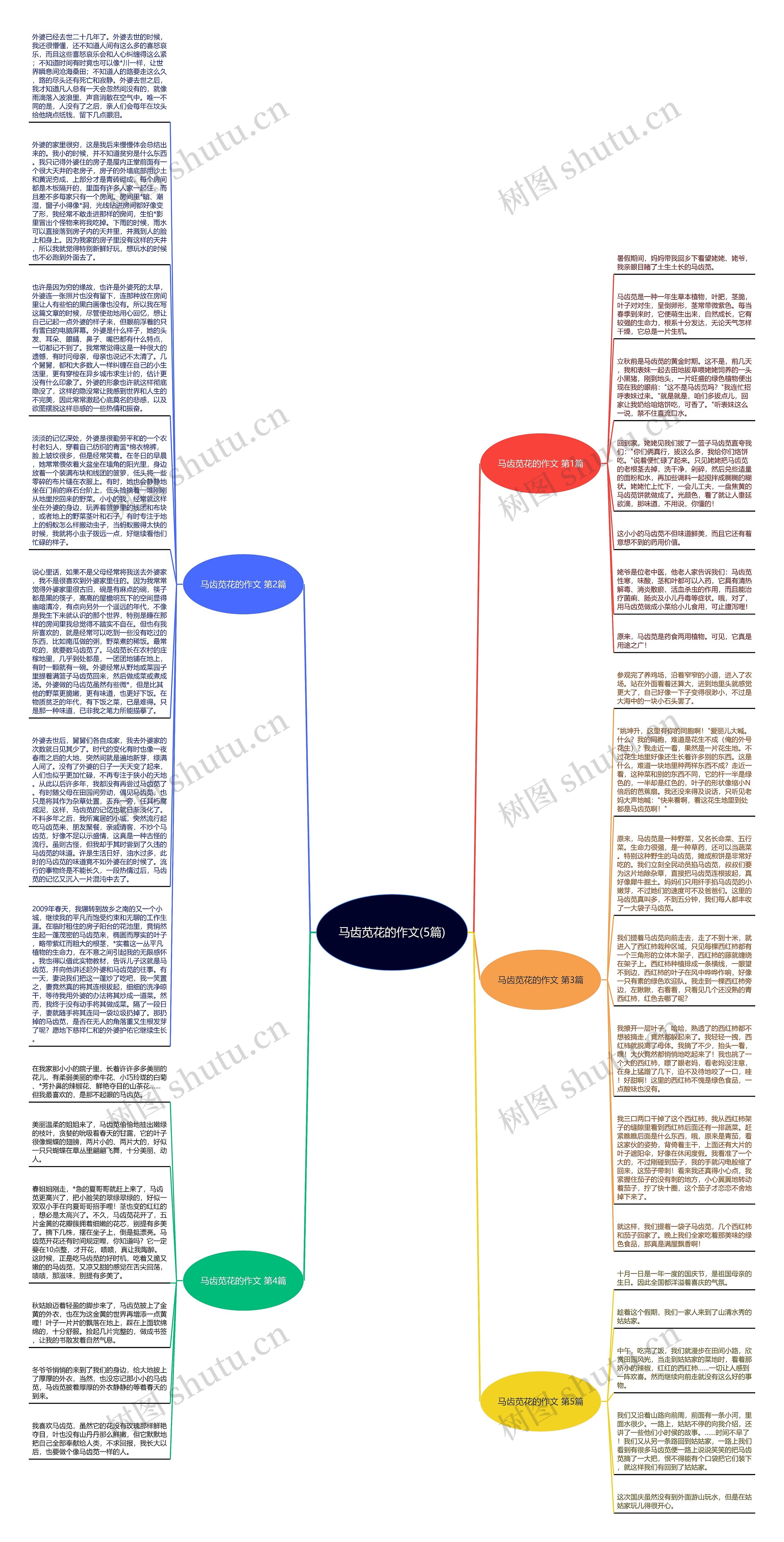 马齿苋花的作文(5篇)思维导图