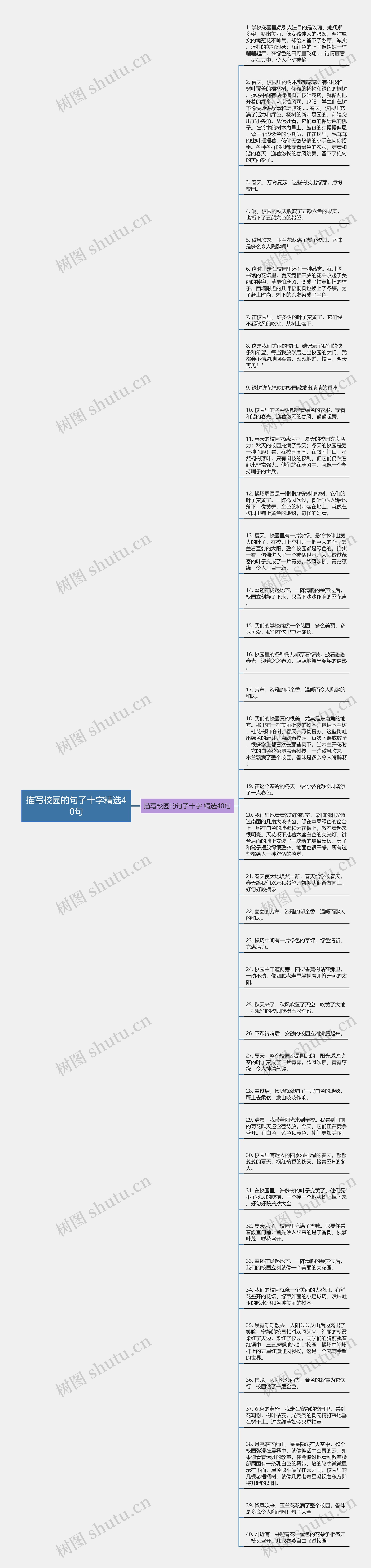 描写校园的句子十字精选40句思维导图