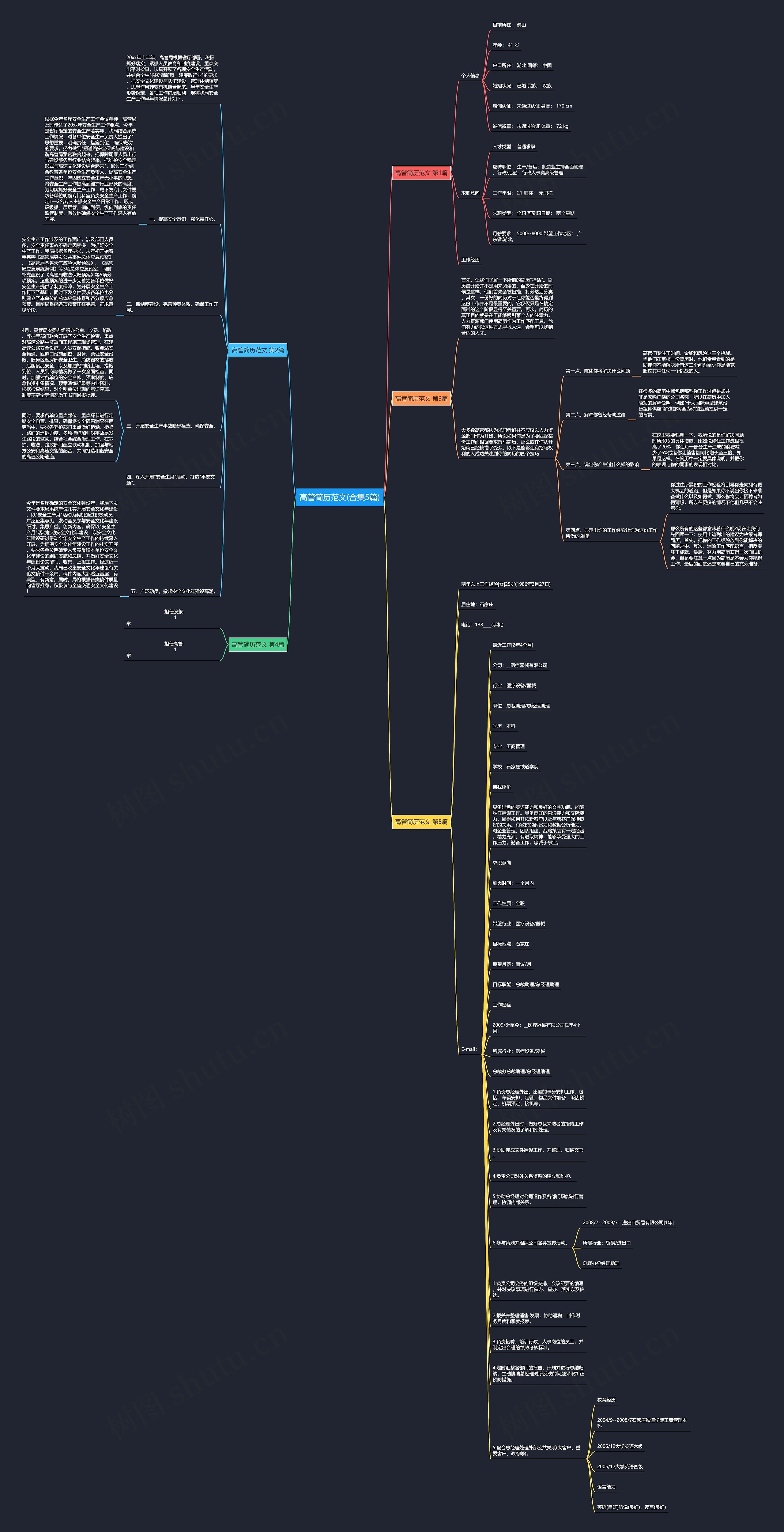 高管简历范文(合集5篇)思维导图