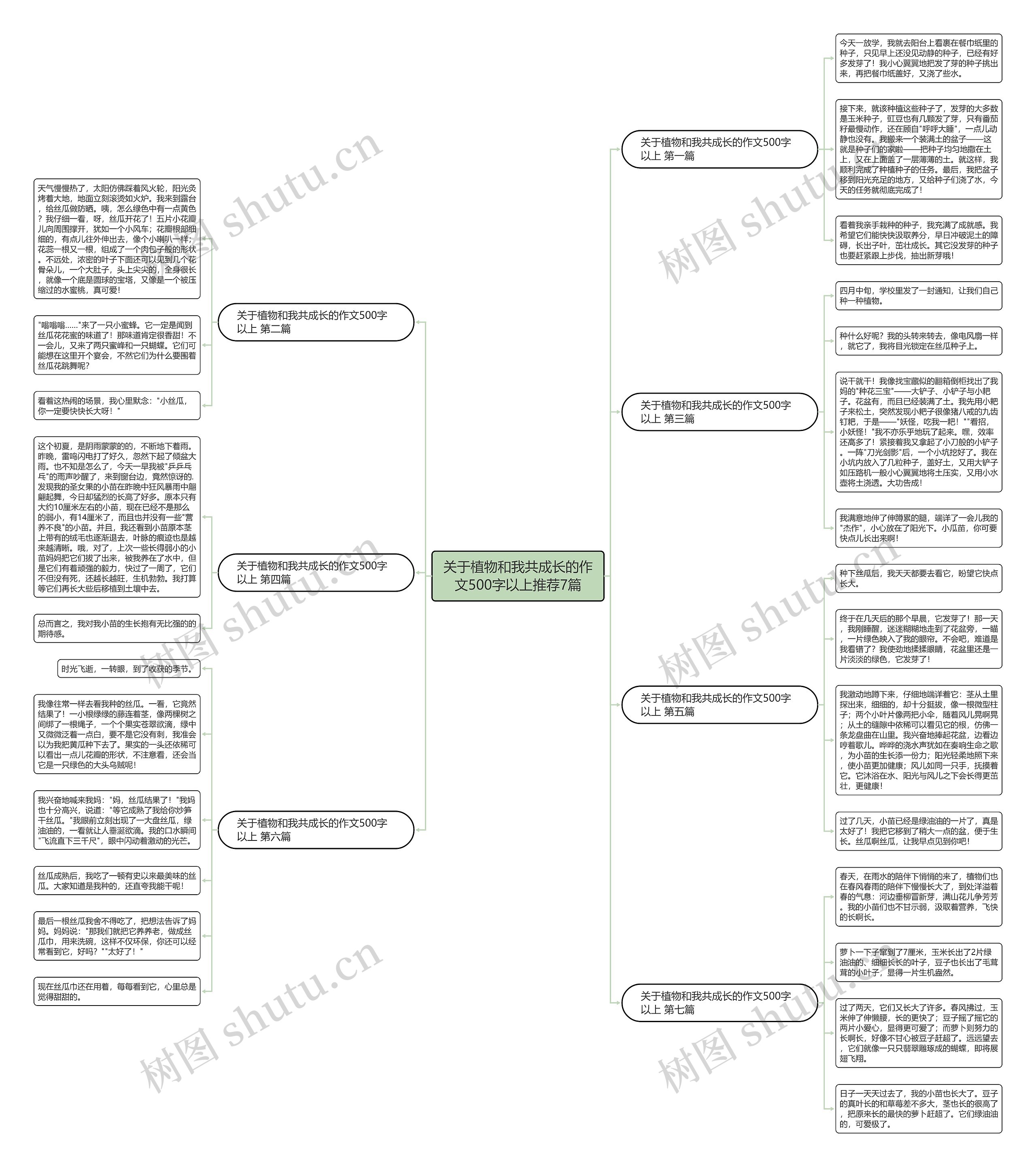 关于植物和我共成长的作文500字以上推荐7篇