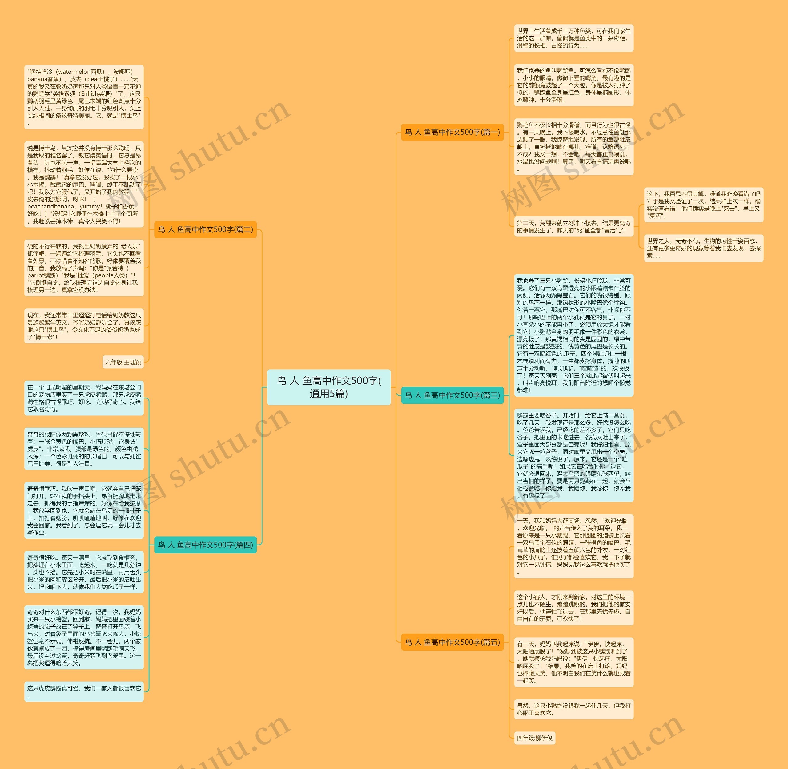 鸟 人 鱼高中作文500字(通用5篇)思维导图