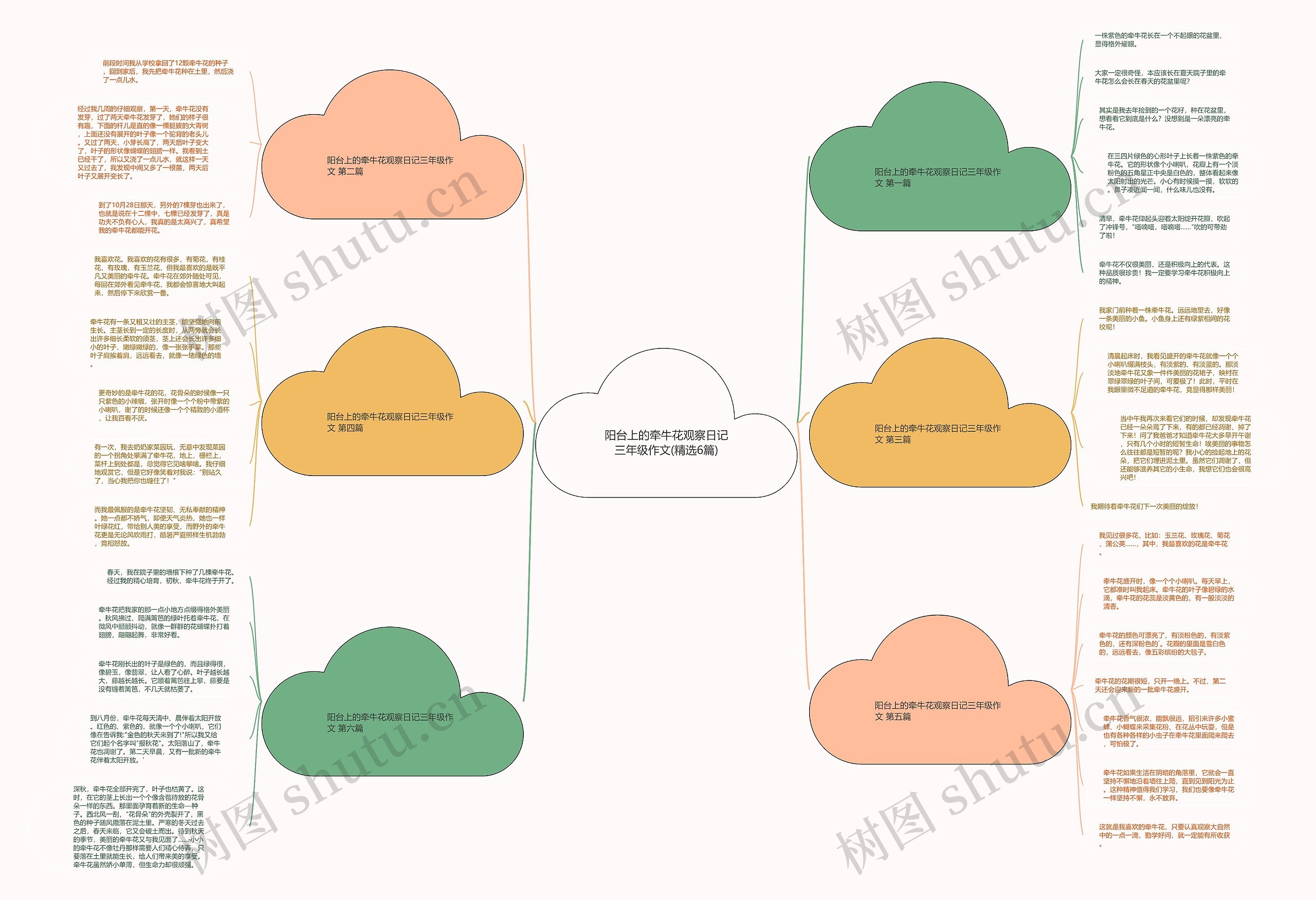 阳台上的牵牛花观察日记三年级作文(精选6篇)思维导图