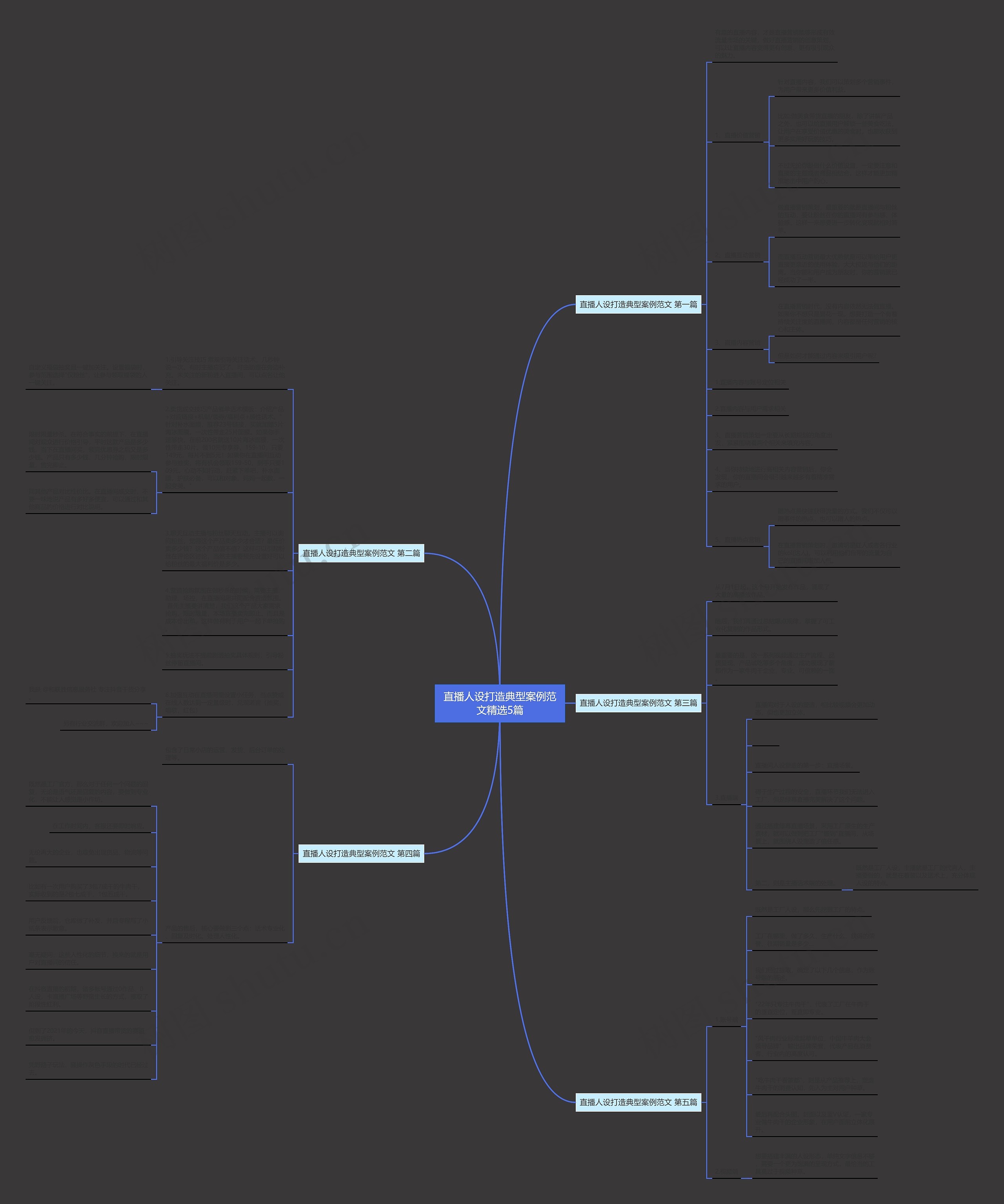 直播人设打造典型案例范文精选5篇思维导图