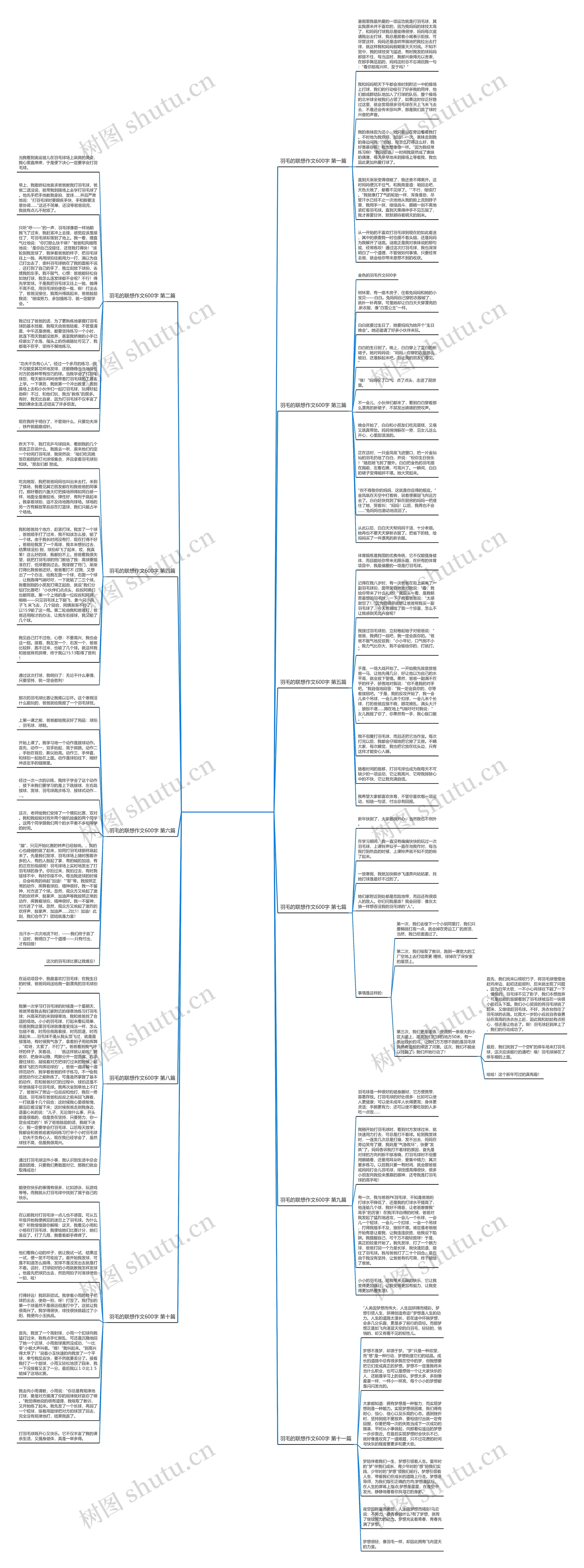 羽毛的联想作文600字共11篇思维导图