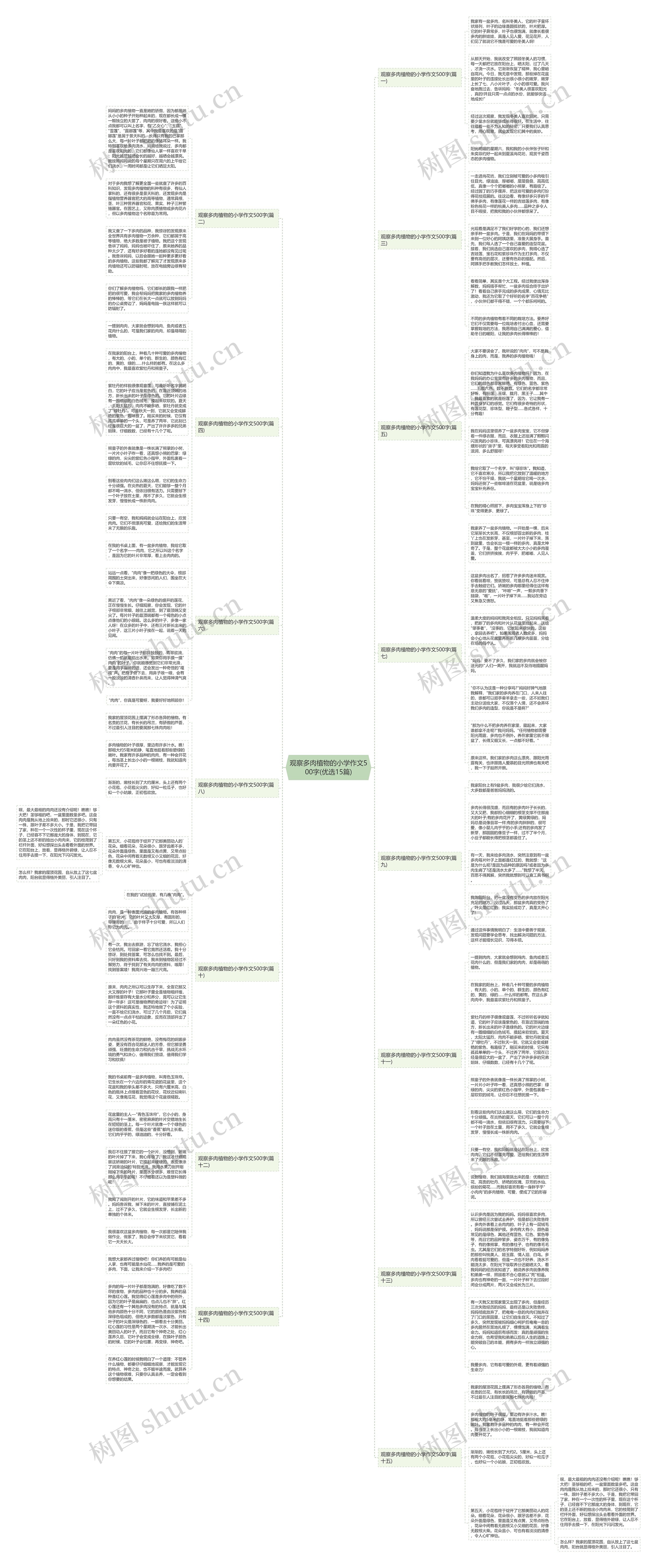 观察多肉植物的小学作文500字(优选15篇)