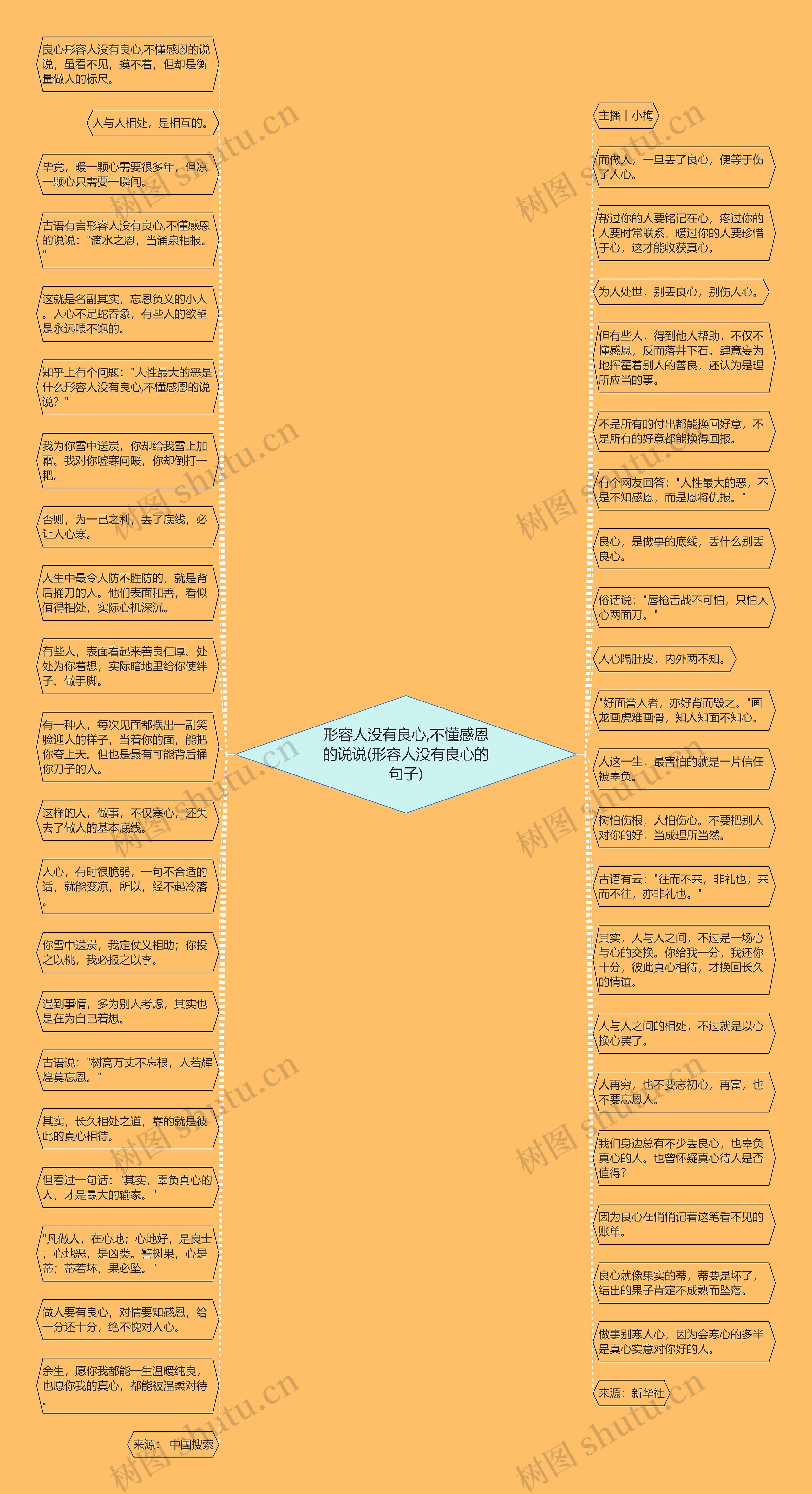 形容人没有良心,不懂感恩的说说(形容人没有良心的句子)