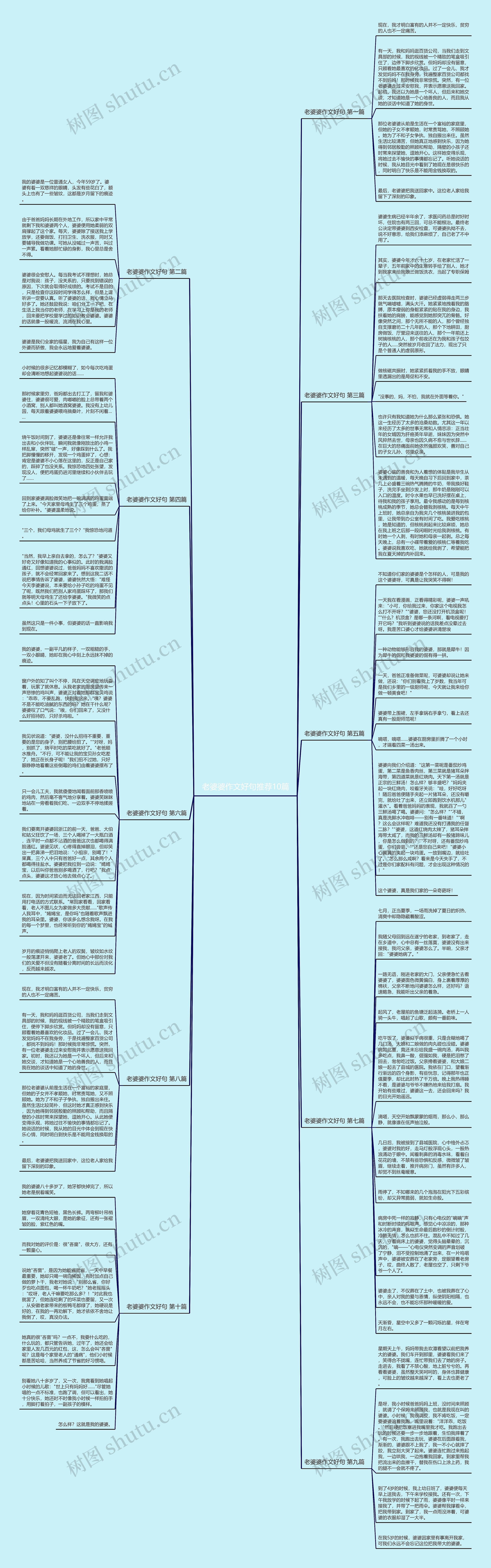 老婆婆作文好句推荐10篇