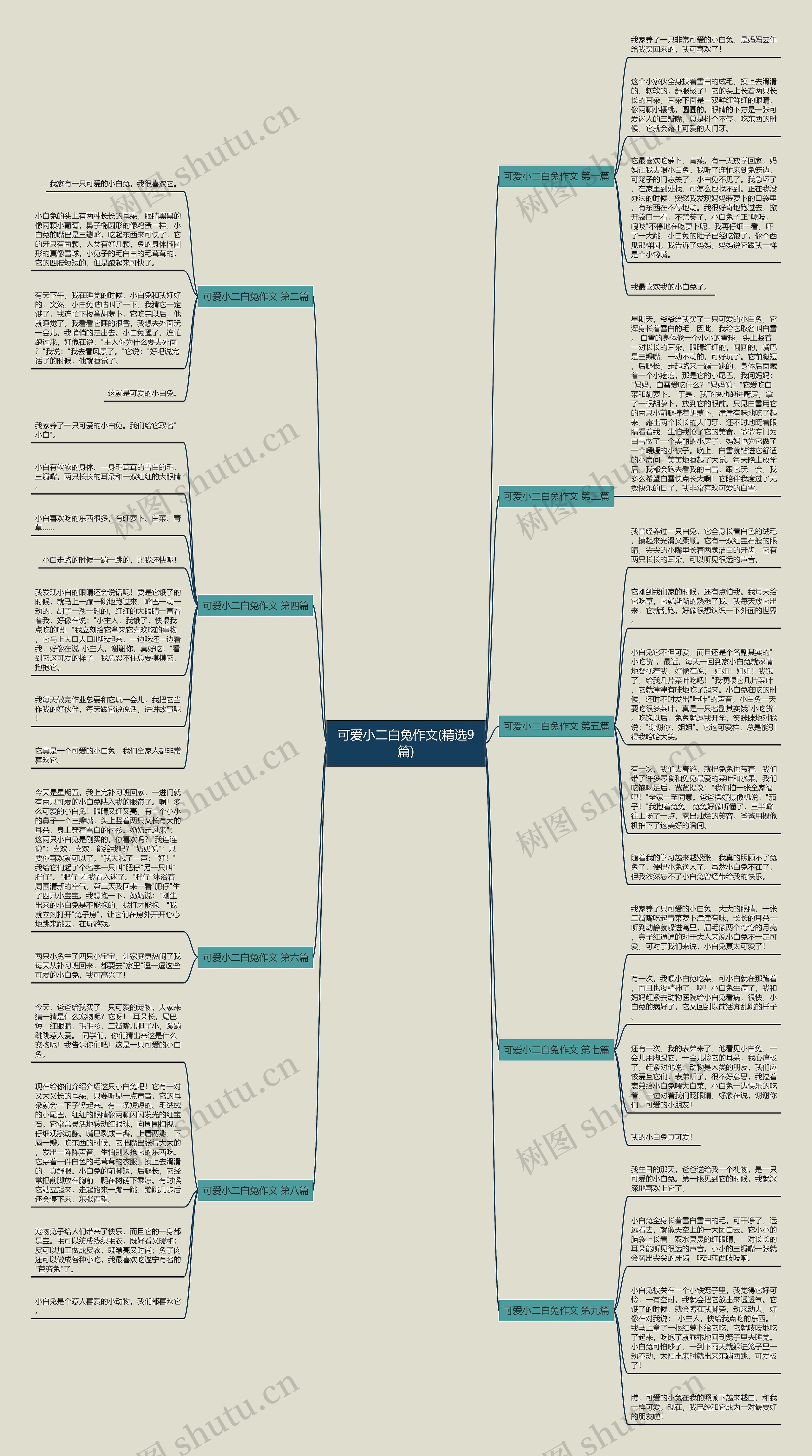 可爱小二白兔作文(精选9篇)思维导图