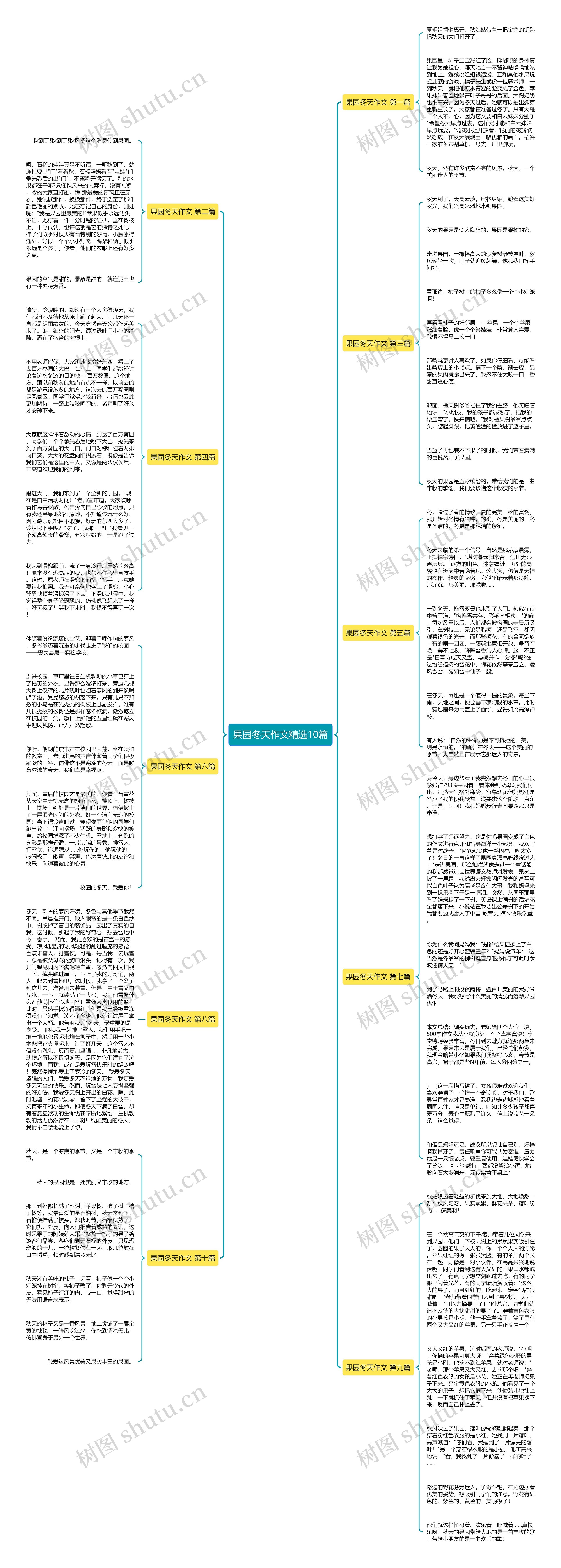 果园冬天作文精选10篇思维导图