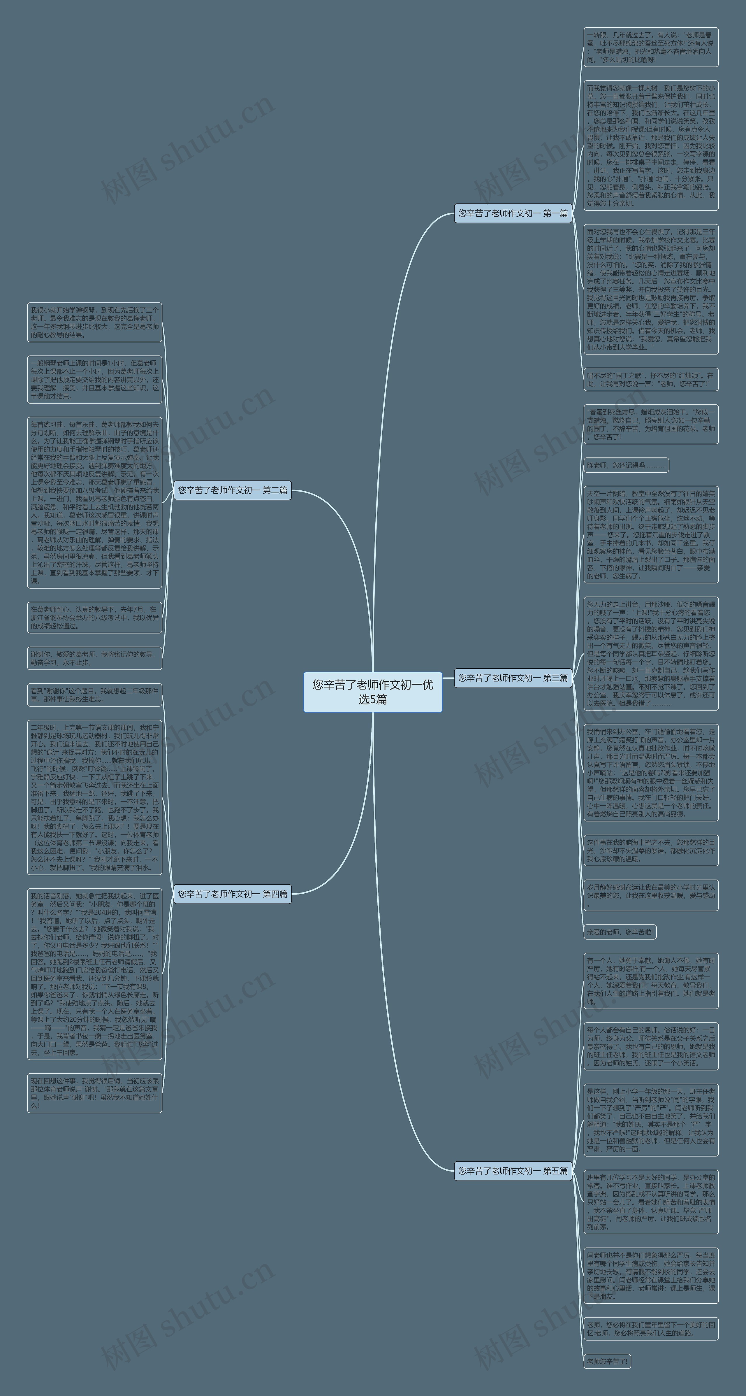 您辛苦了老师作文初一优选5篇思维导图
