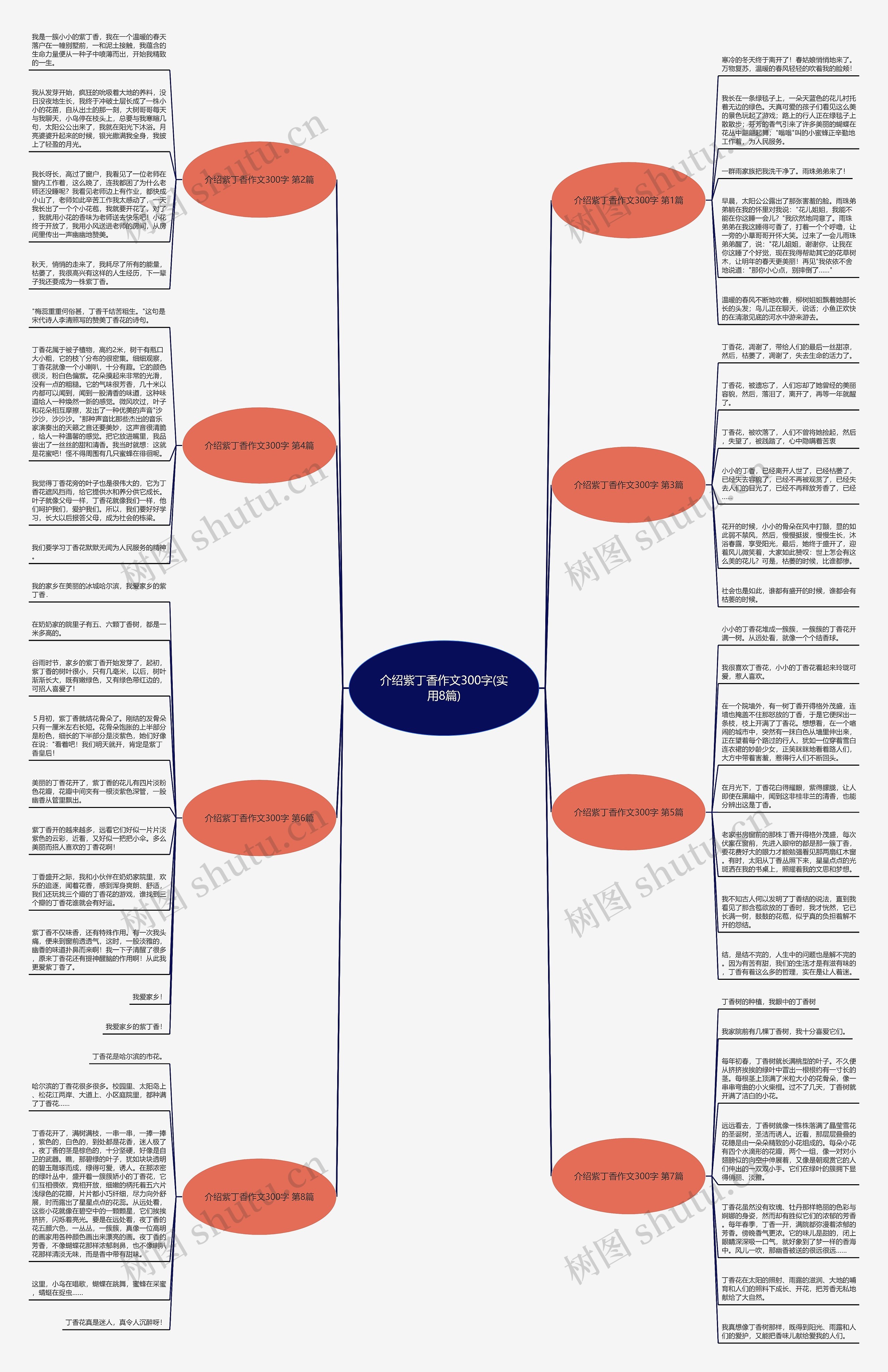 介绍紫丁香作文300字(实用8篇)思维导图高清图 介绍紫丁香作文300字(实用8篇)思维导图