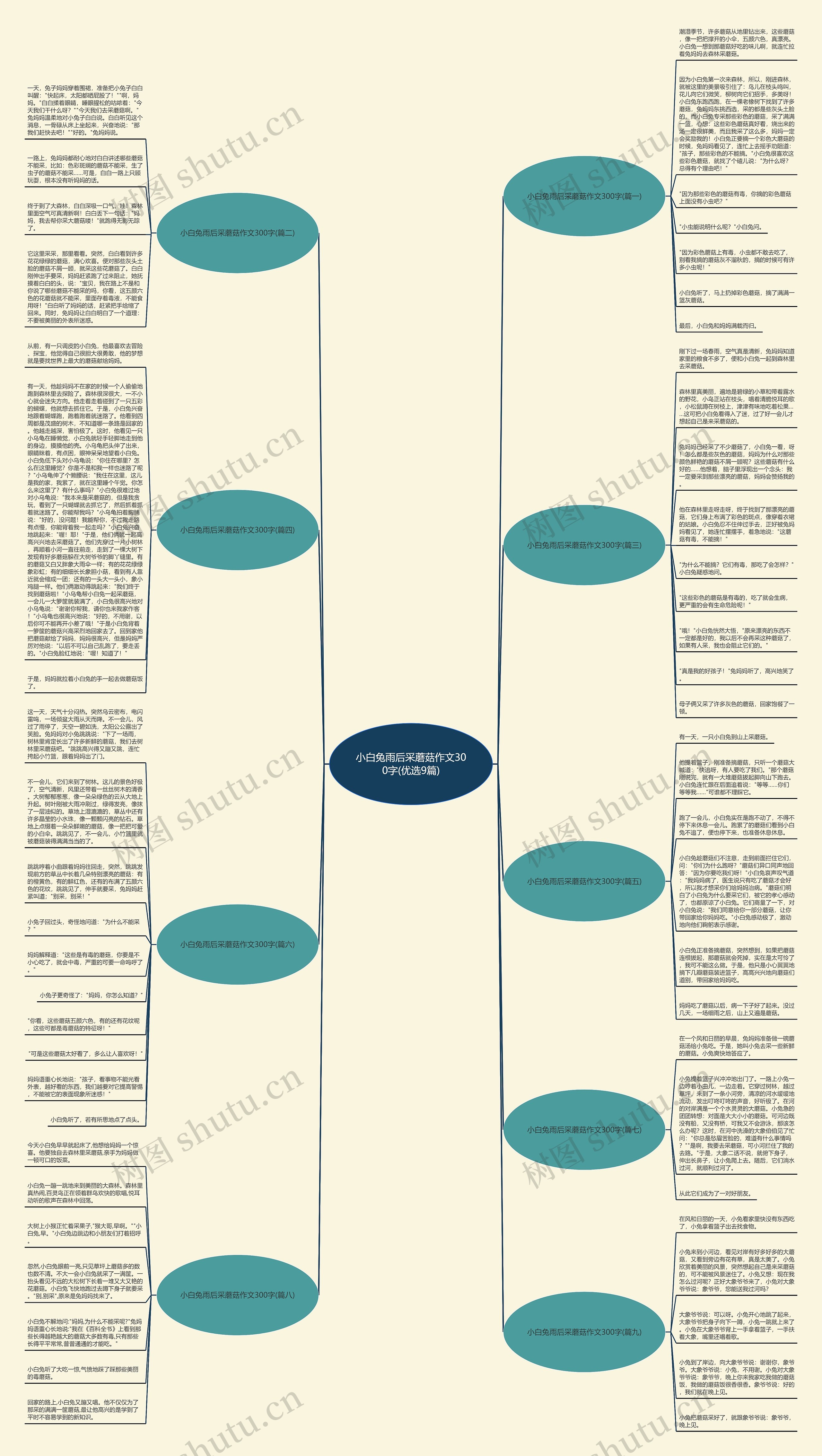 小白兔雨后采蘑菇作文300字(优选9篇)思维导图