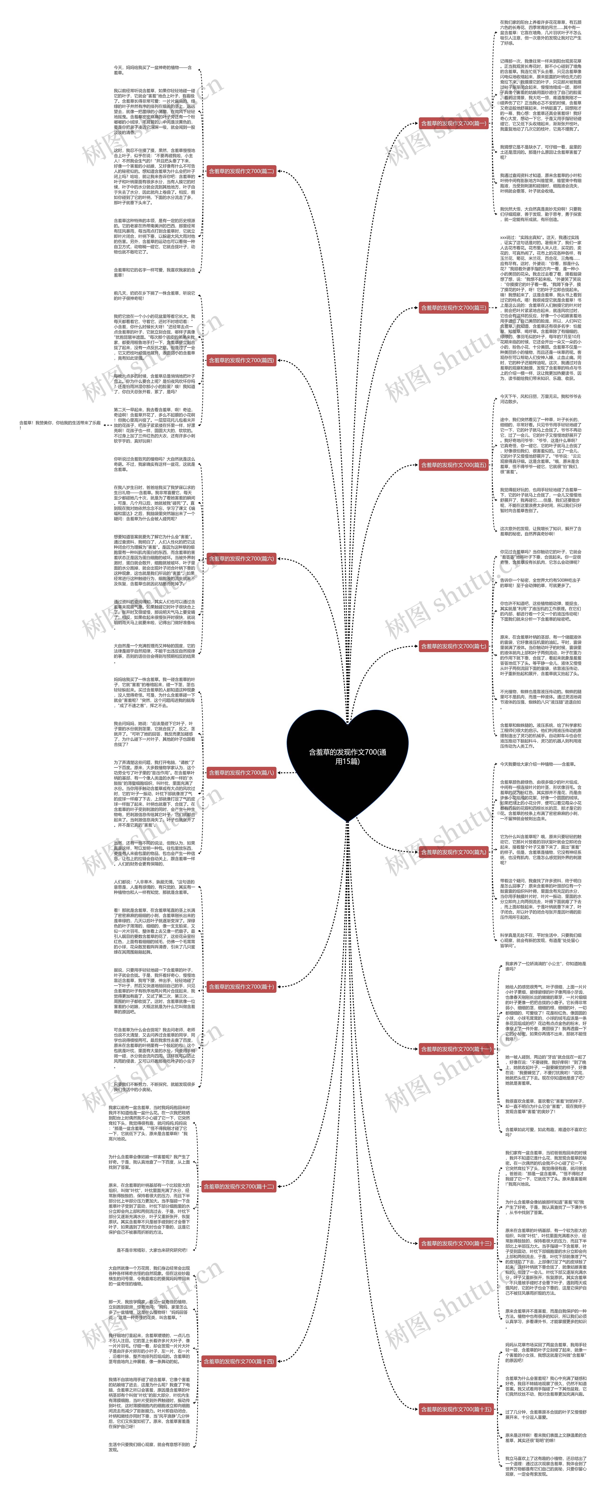 含羞草的发现作文700(通用15篇)思维导图