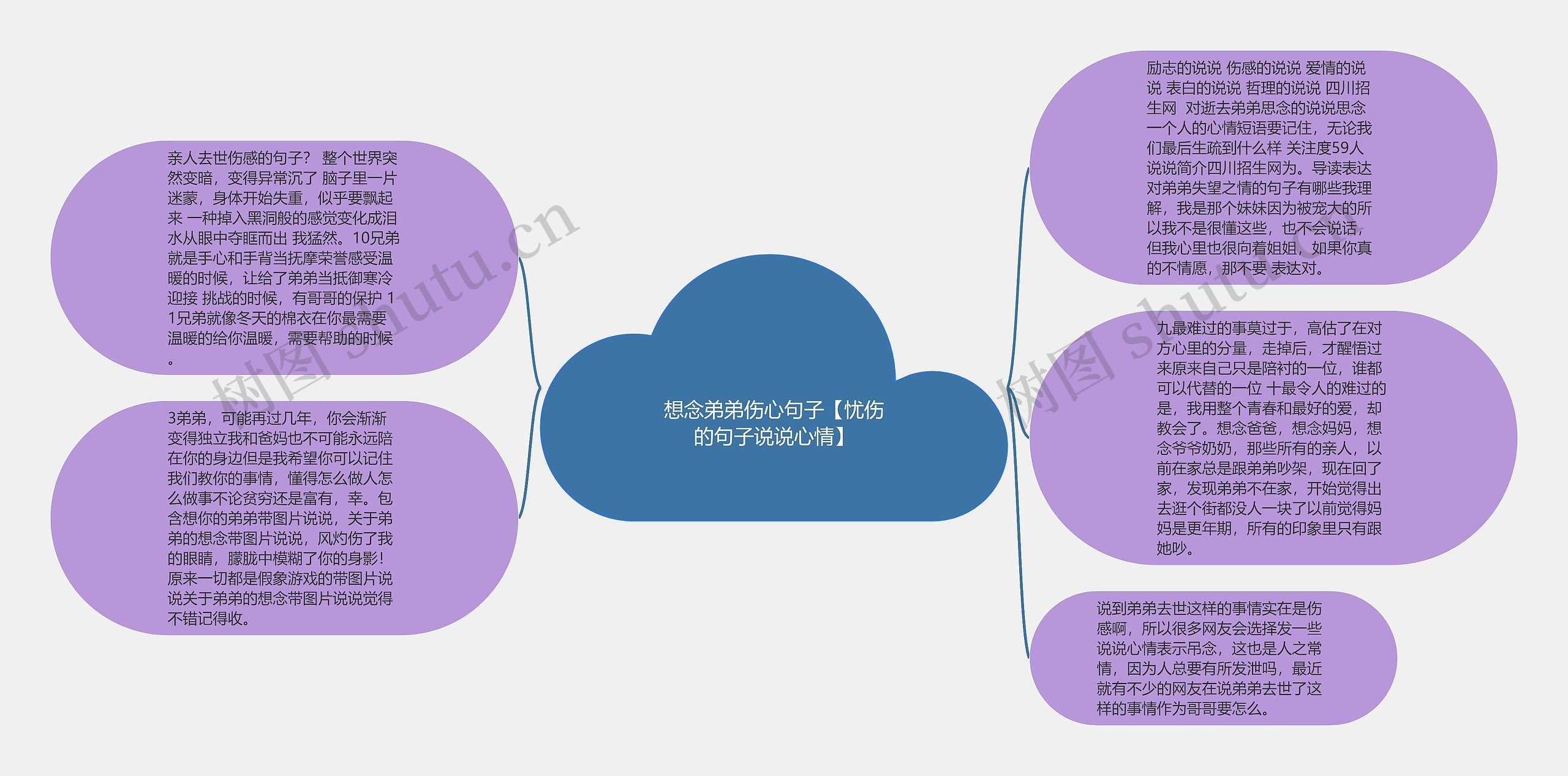 想念弟弟伤心句子【忧伤的句子说说心情】思维导图