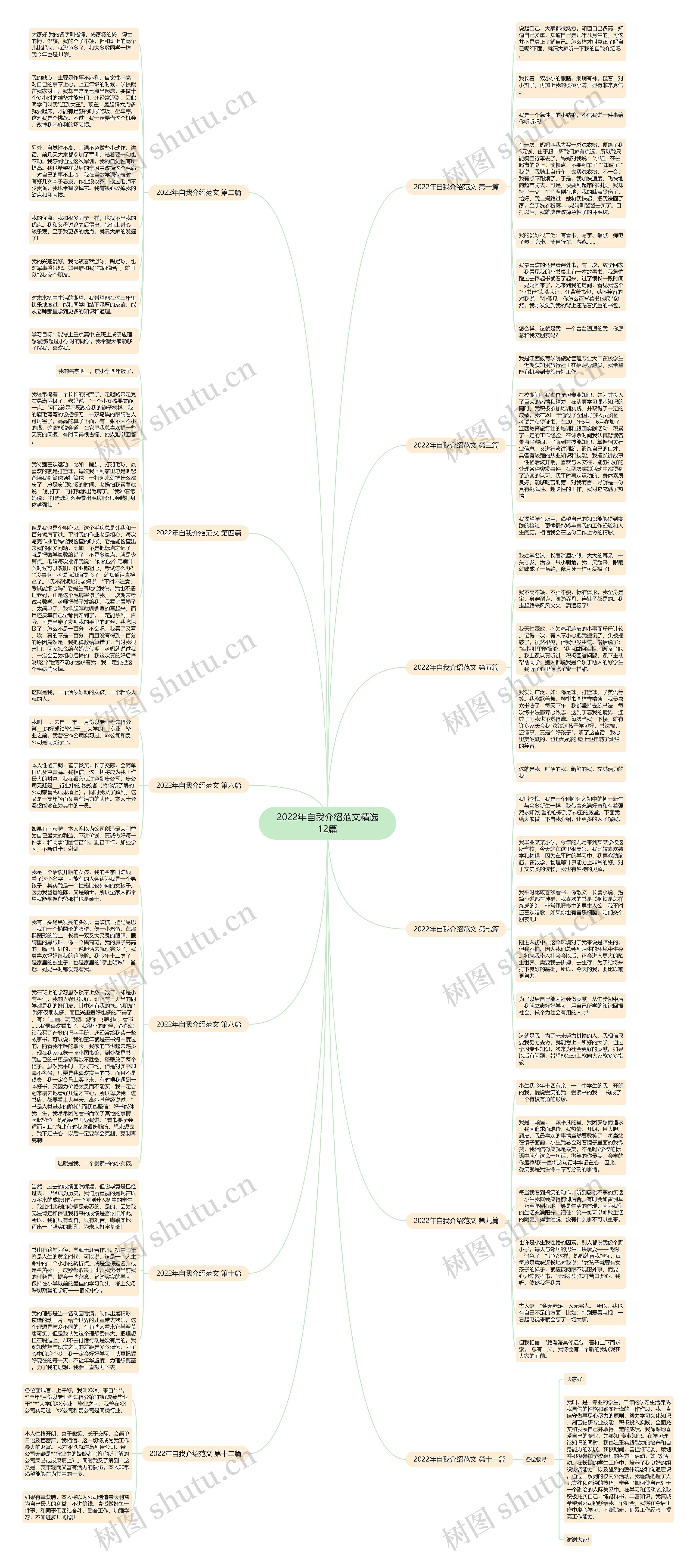 2022年自我介绍范文精选12篇思维导图