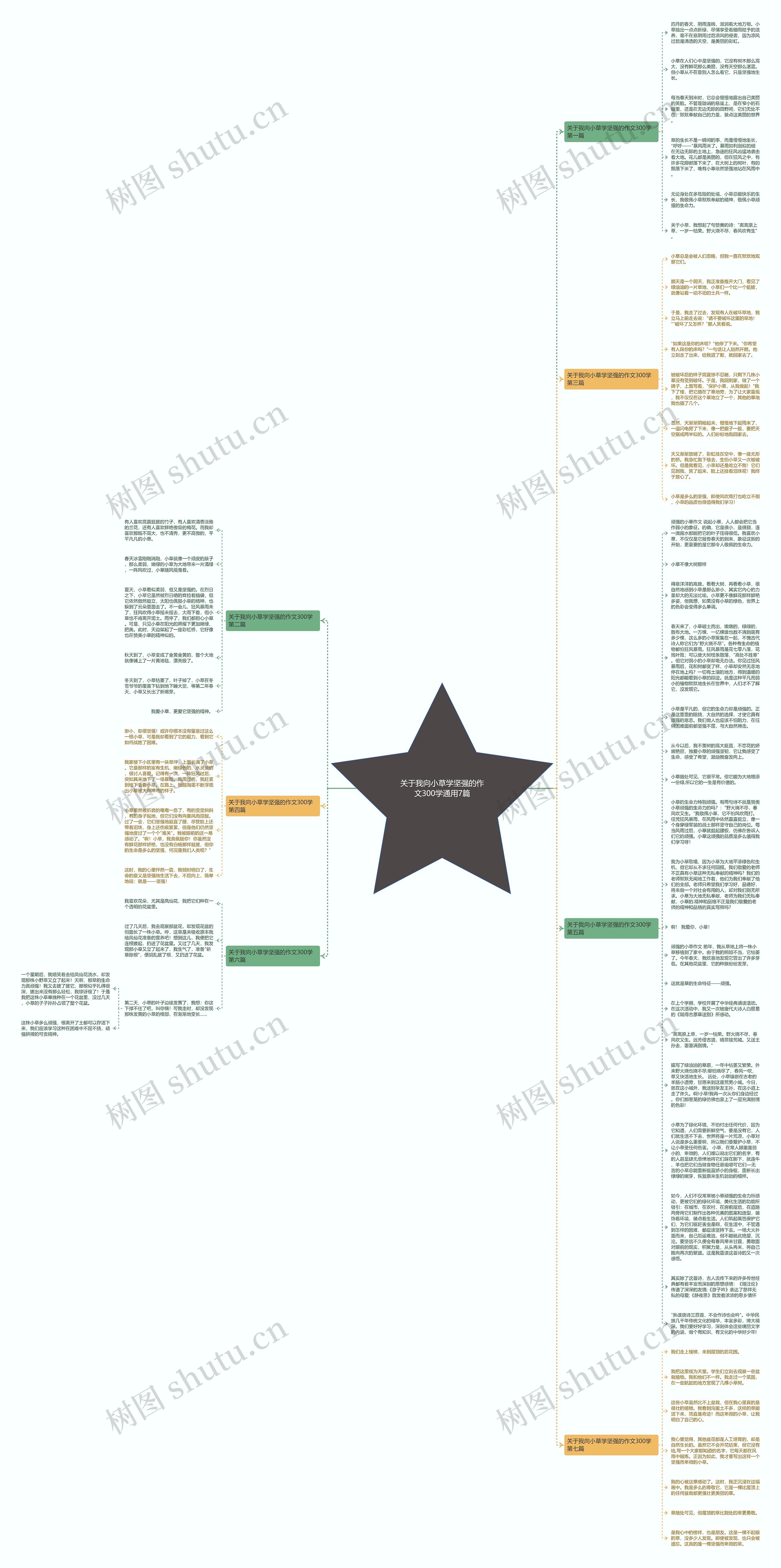 关于我向小草学坚强的作文300学通用7篇思维导图