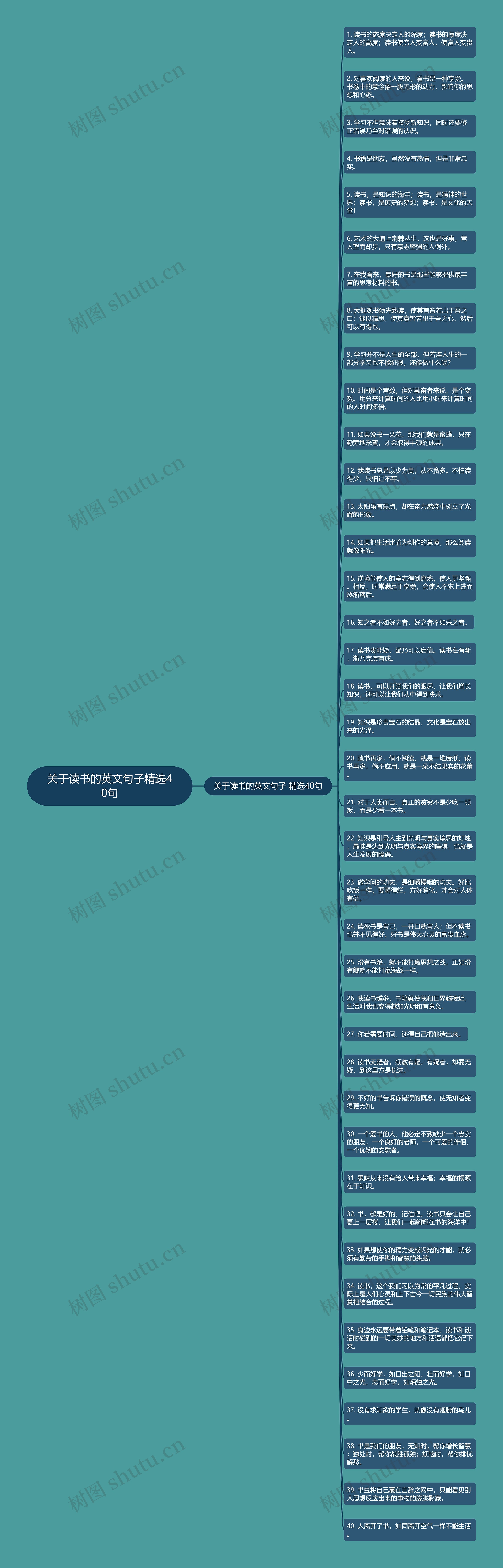 关于读书的英文句子精选40句思维导图