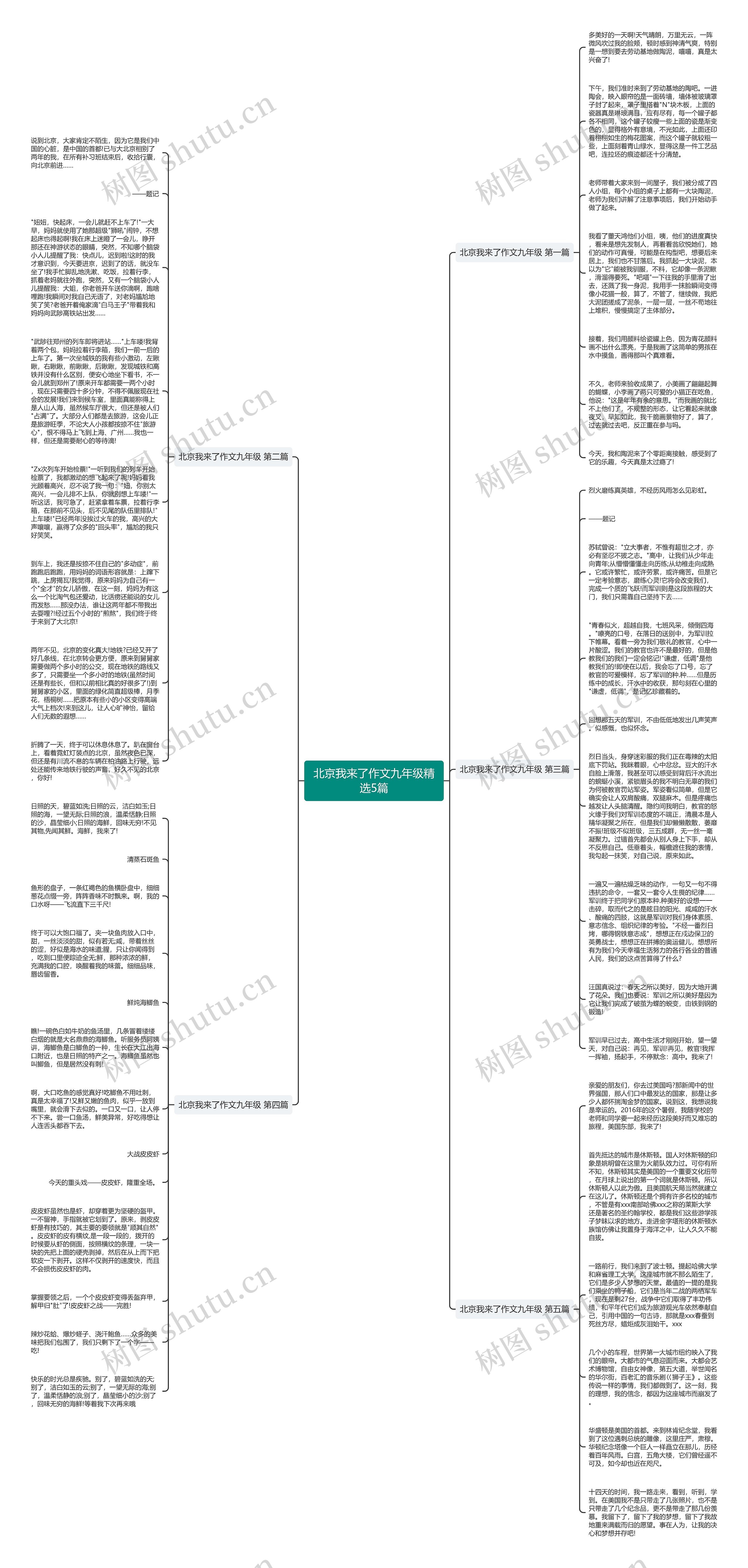 北京我来了作文九年级精选5篇思维导图