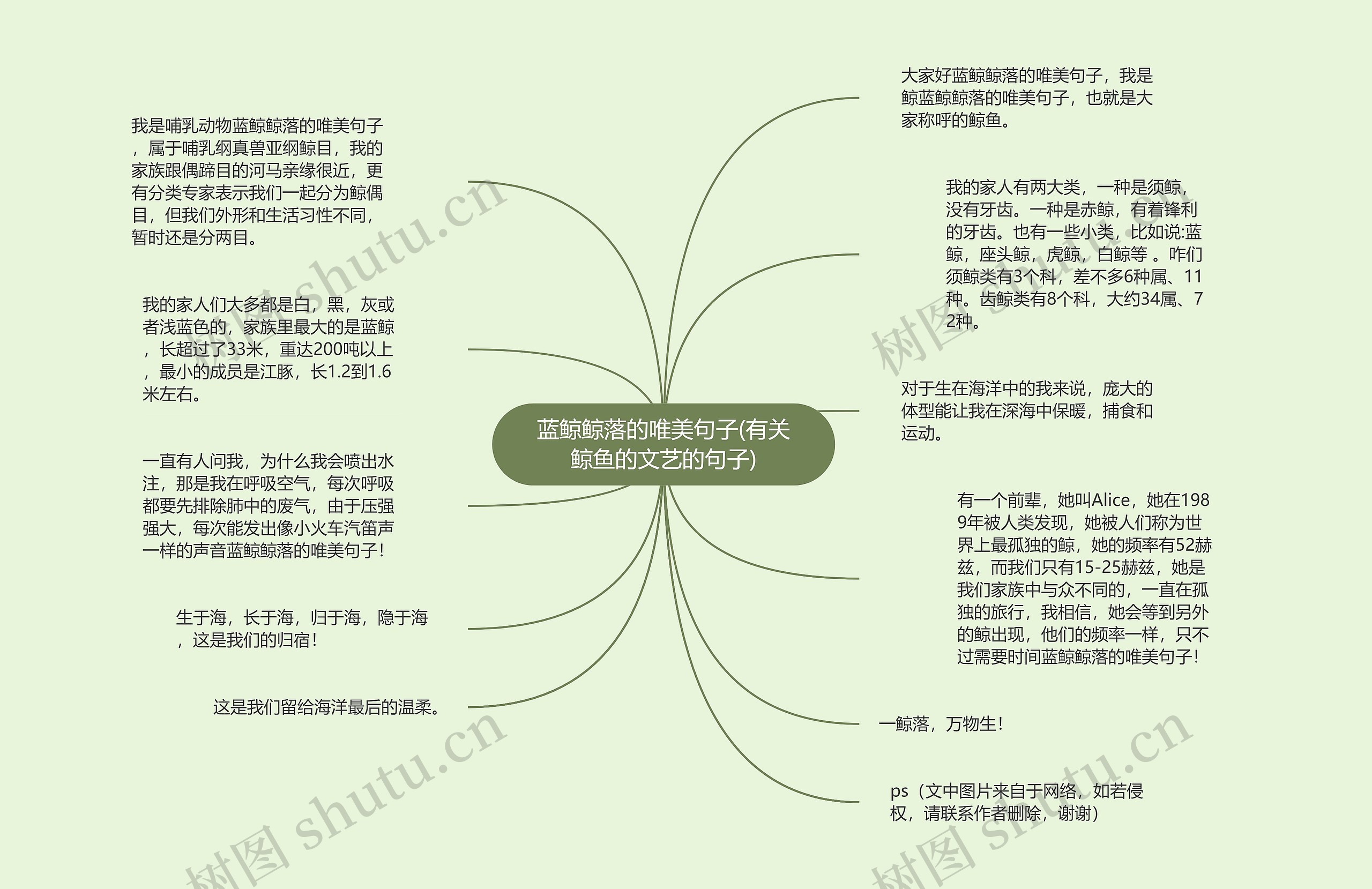 蓝鲸鲸落的唯美句子(有关鲸鱼的文艺的句子) 蓝鲸鲸落的唯美句子(有关鲸鱼的文艺的句子)