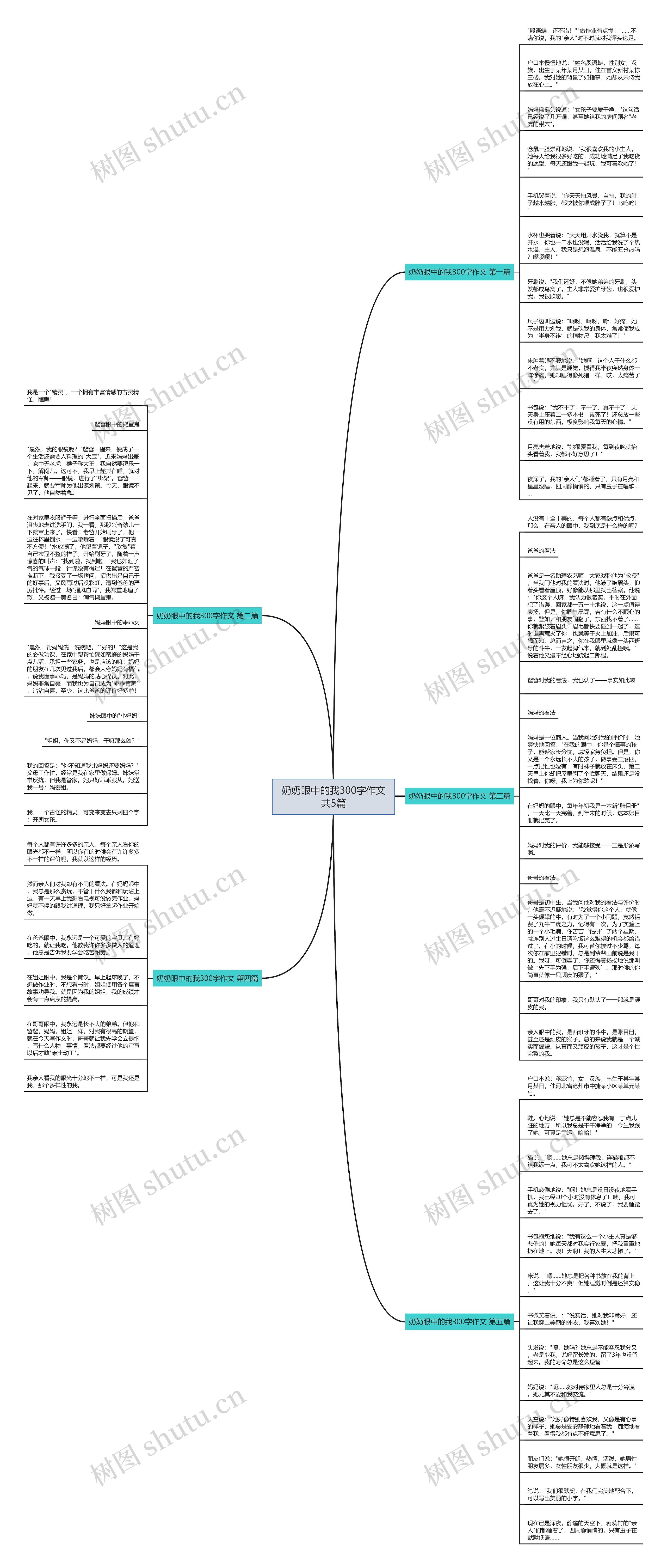 奶奶眼中的我300字作文共5篇思维导图