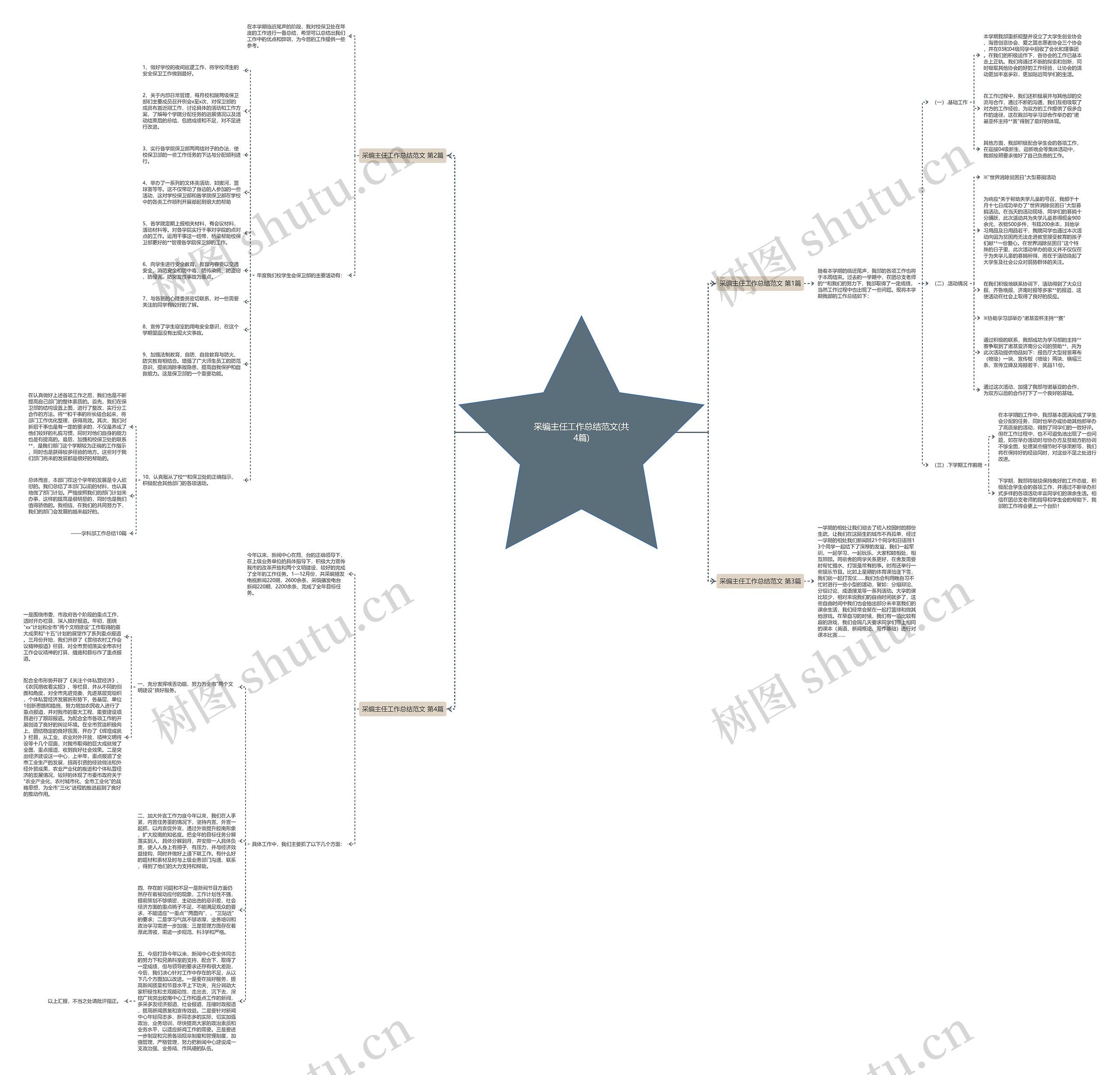 采编主任工作总结范文(共4篇)思维导图