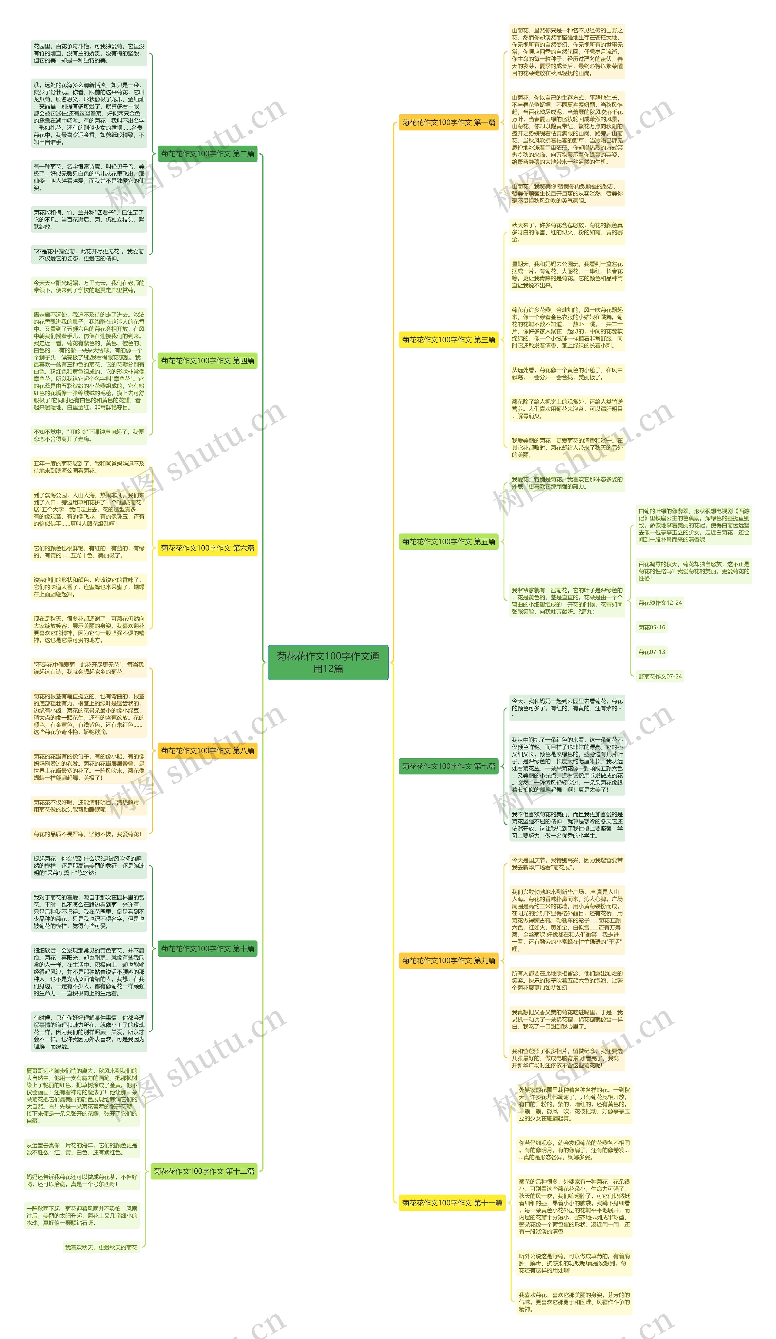 菊花花作文100字作文通用12篇思维导图