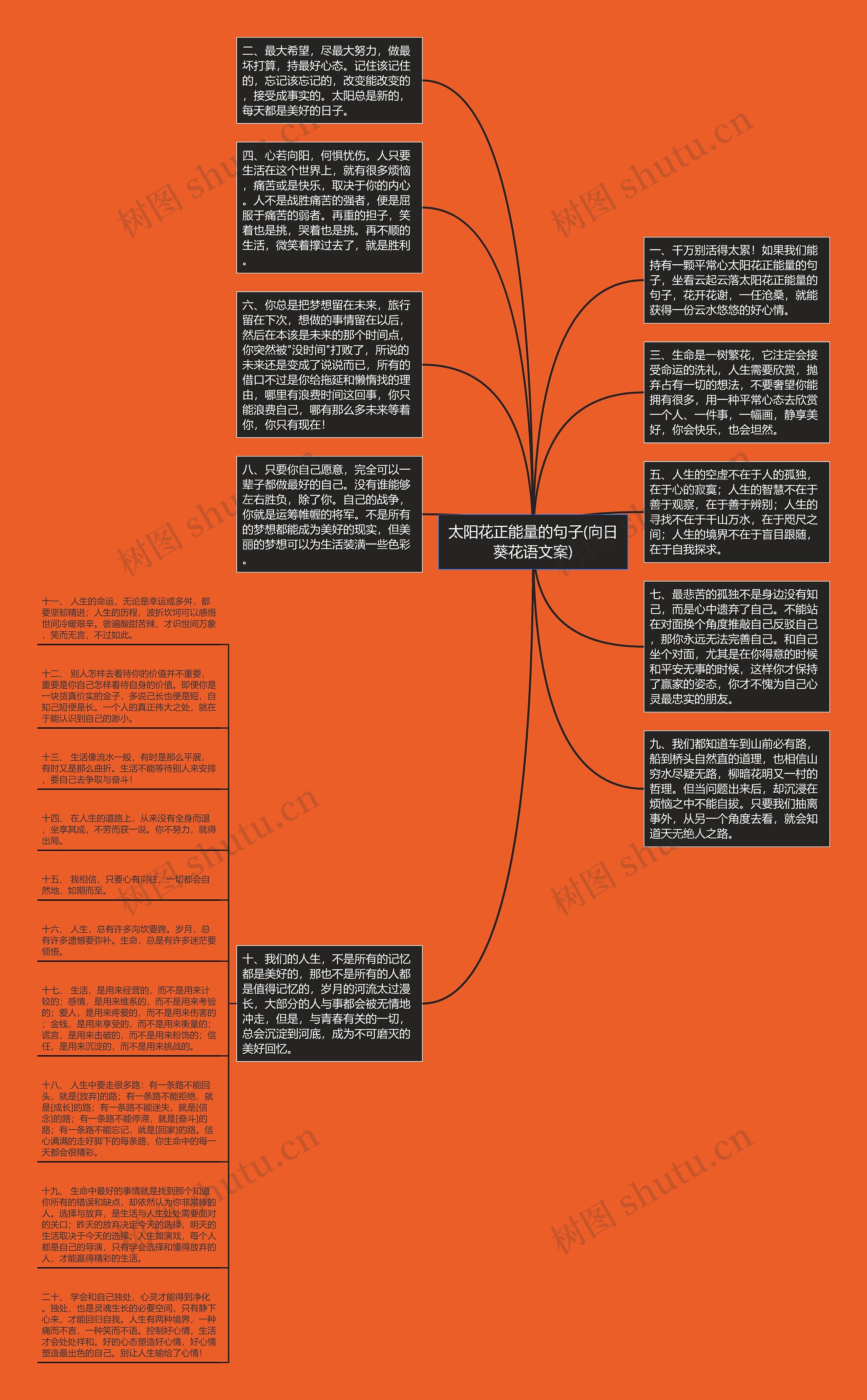 太阳花正能量的句子(向日葵花语文案)思维导图