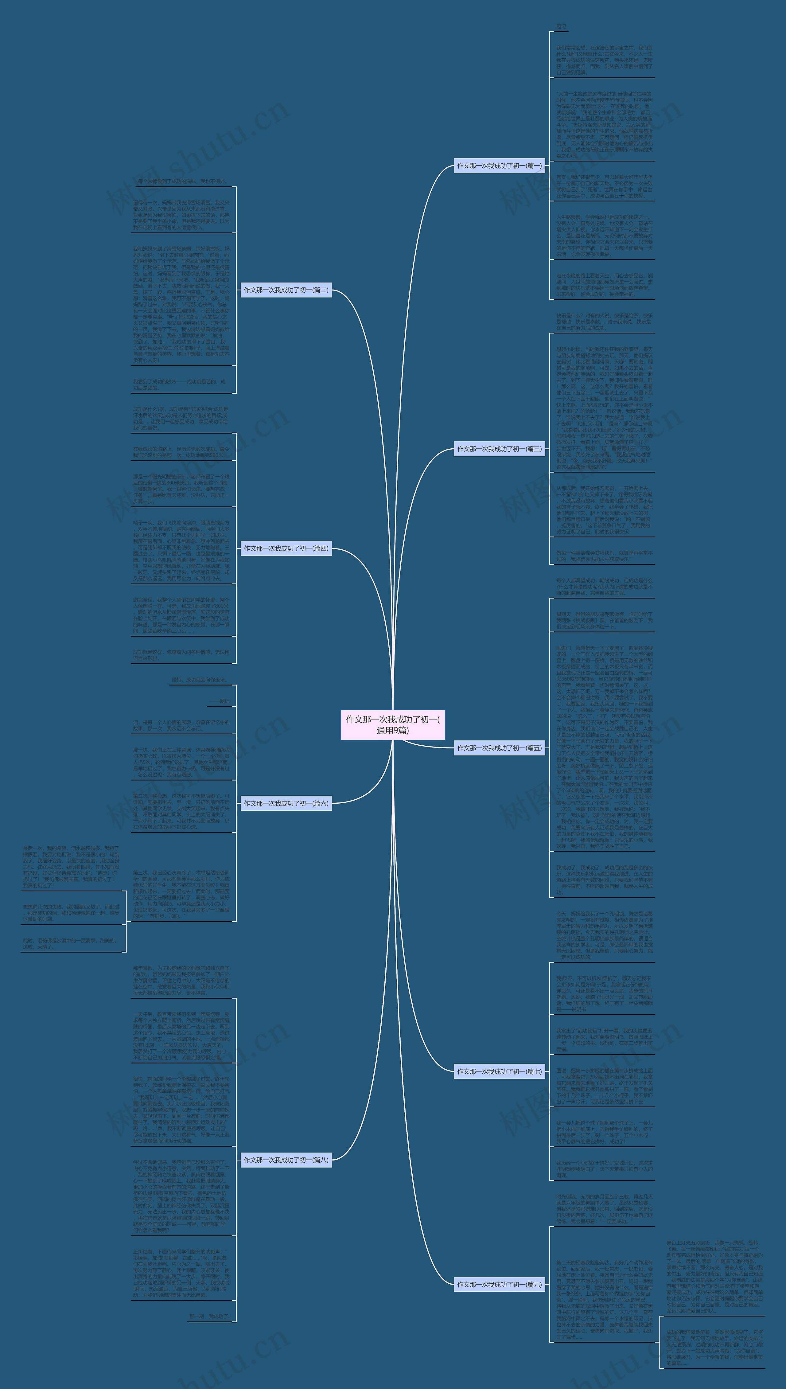 作文那一次我成功了初一(通用9篇)思维导图