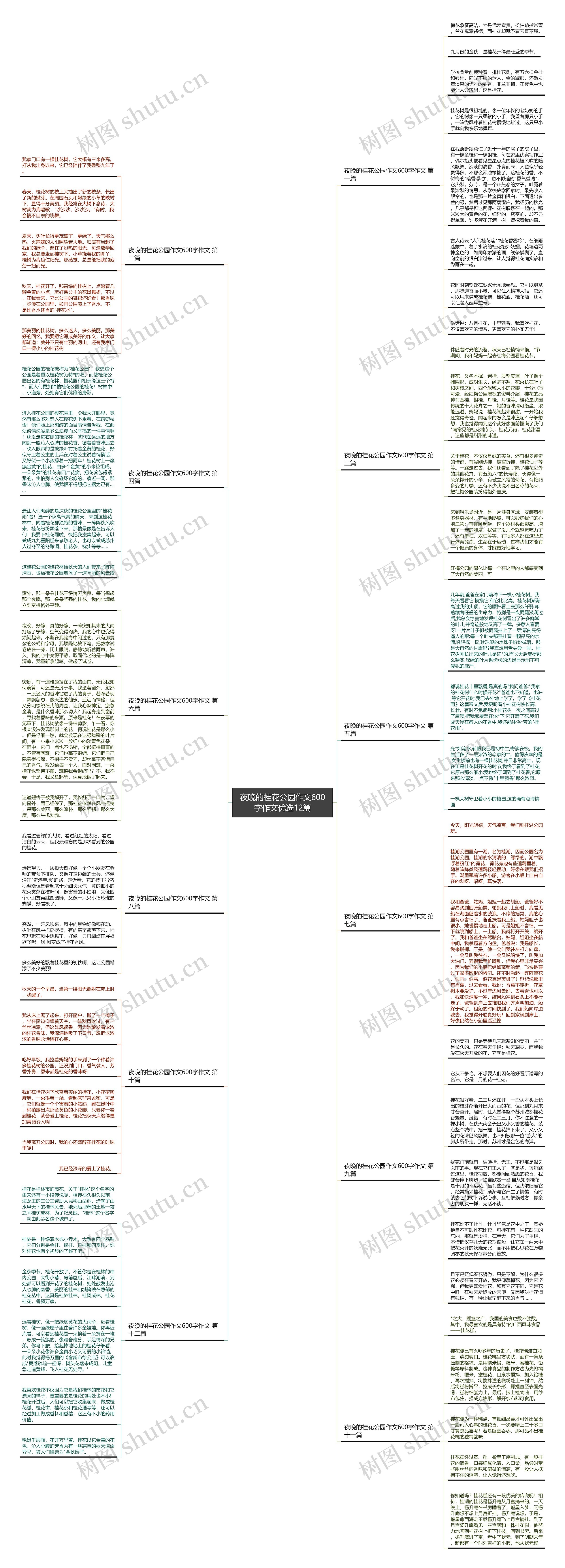 夜晚的桂花公园作文600字作文优选12篇 夜晚的桂花公园作文600字作文优选12篇