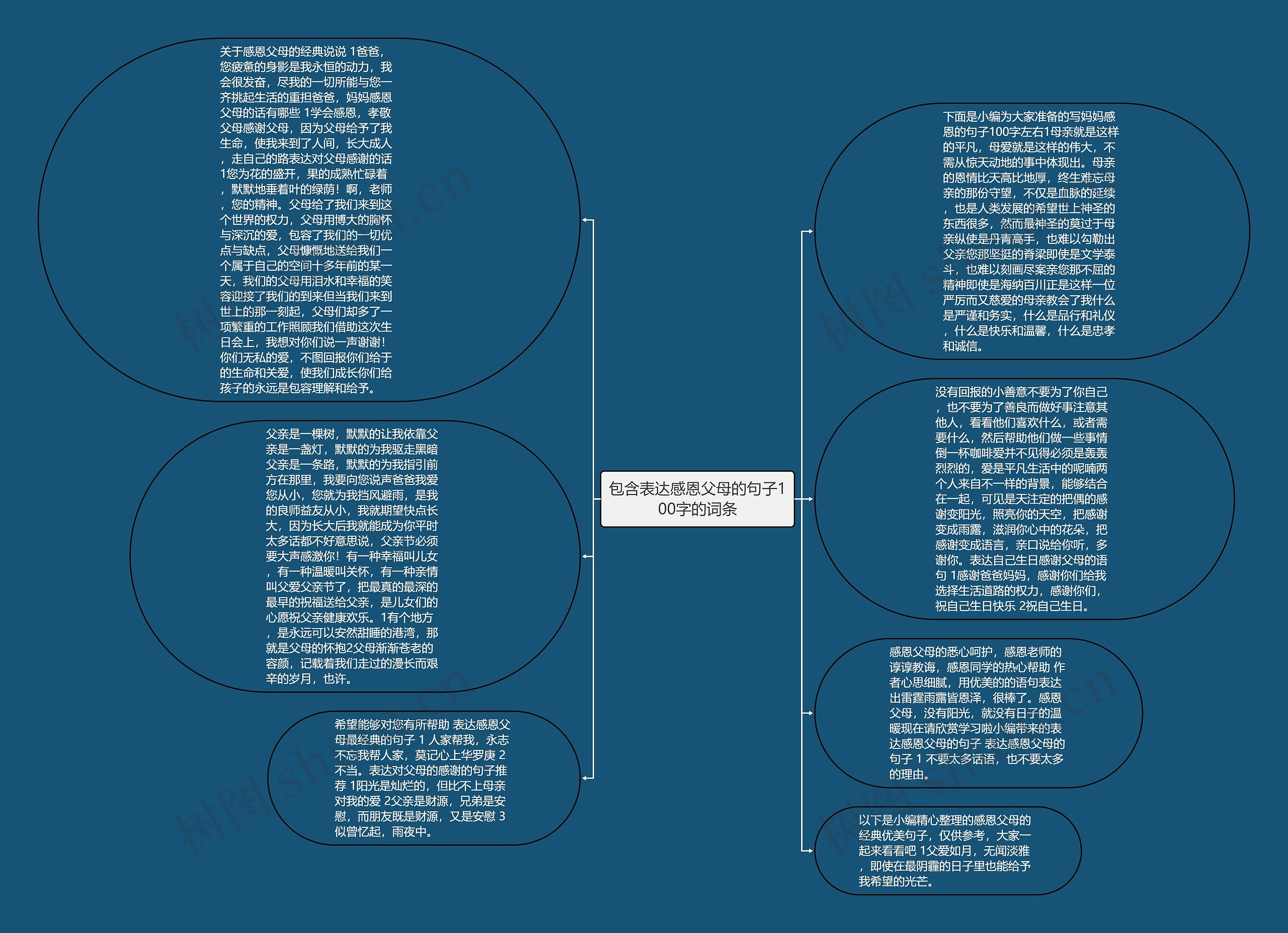 包含表达感恩父母的句子100字的词条思维导图