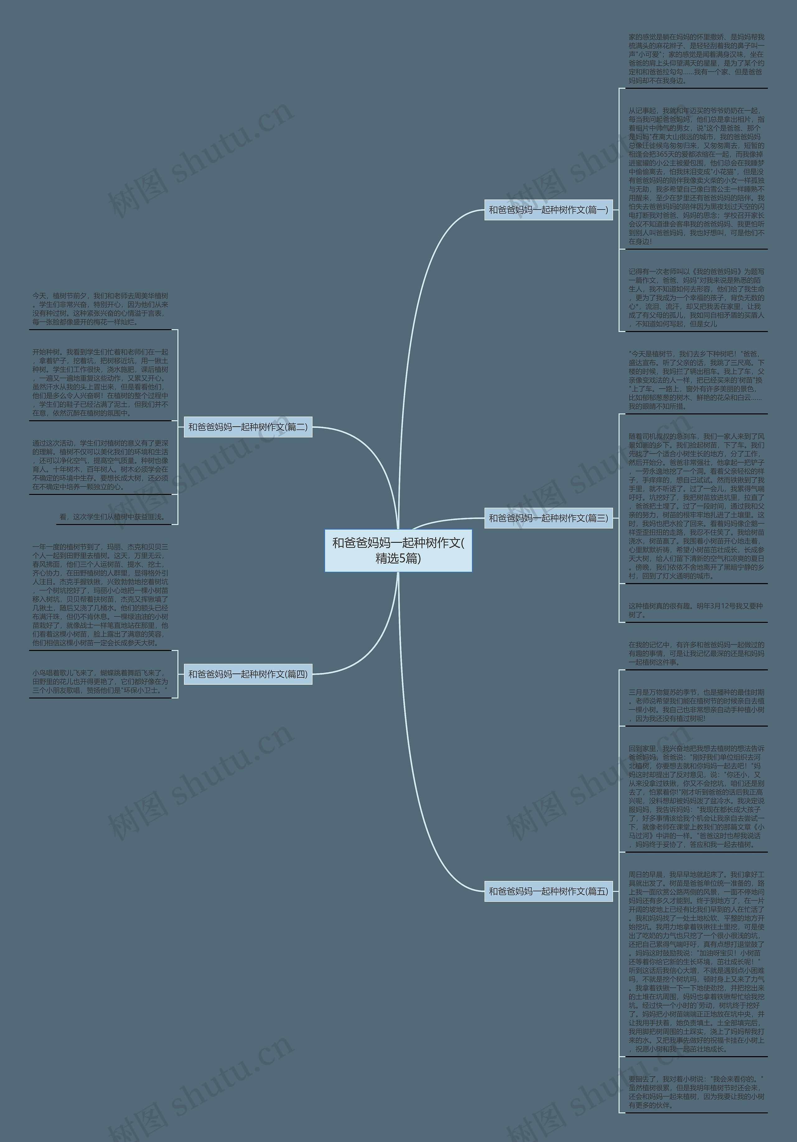 和爸爸妈妈一起种树作文(精选5篇)思维导图高清图 和爸爸妈妈一起种树作文(精选5篇)思维导图