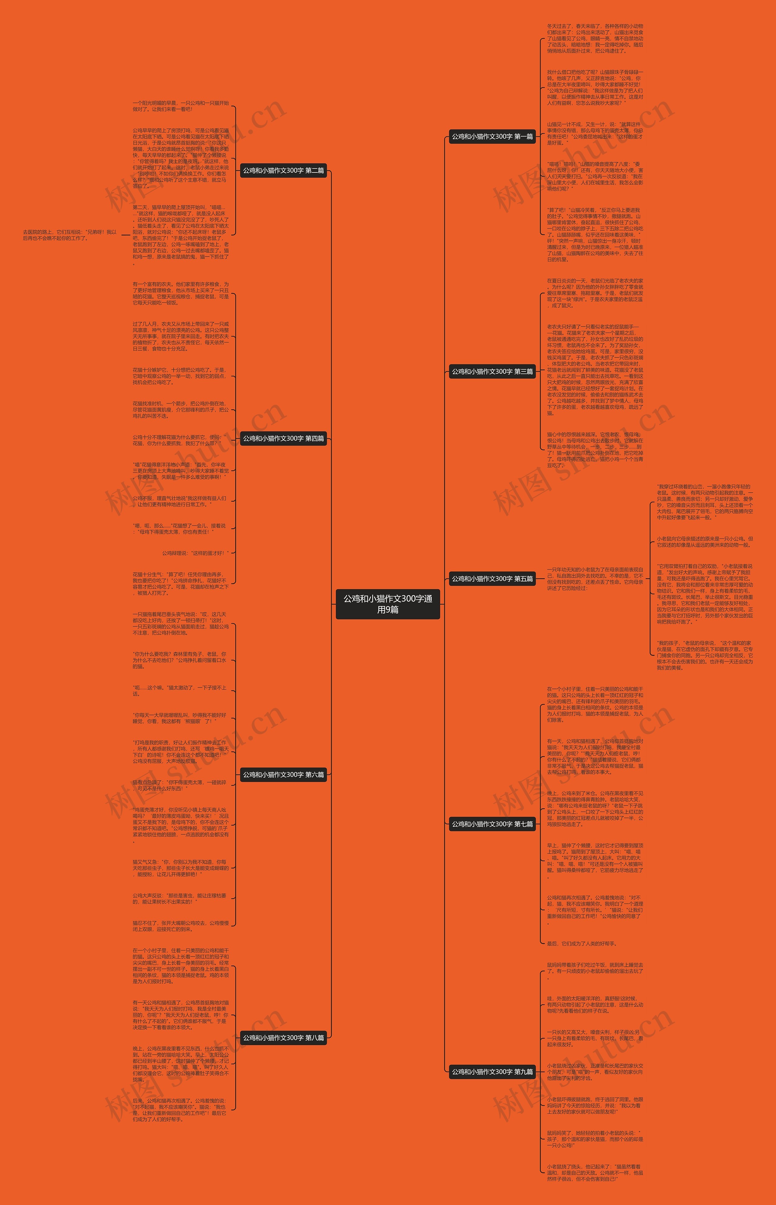 公鸡和小猫作文300字通用9篇思维导图
