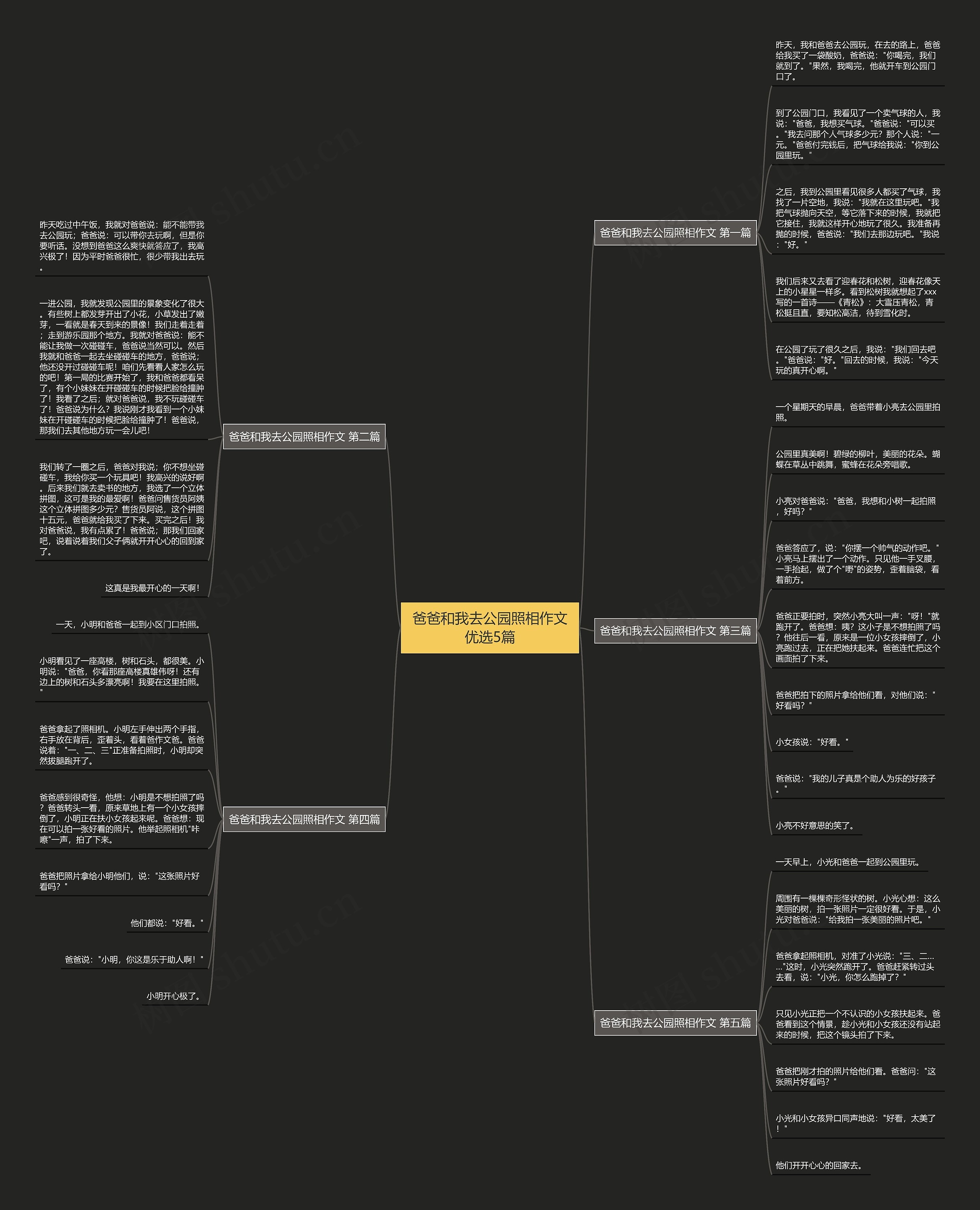 爸爸和我去公园照相作文优选5篇思维导图