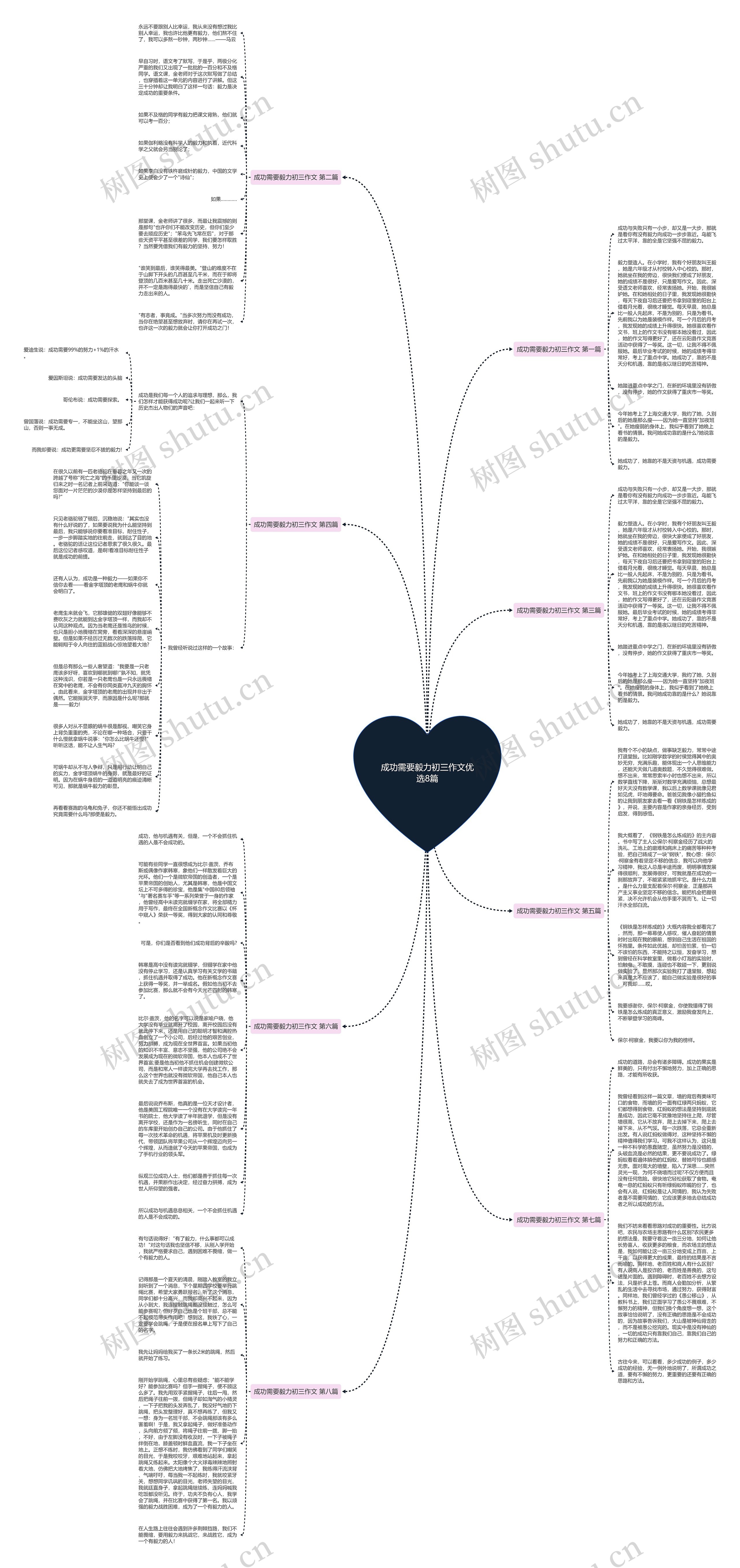 成功需要毅力初三作文优选8篇思维导图