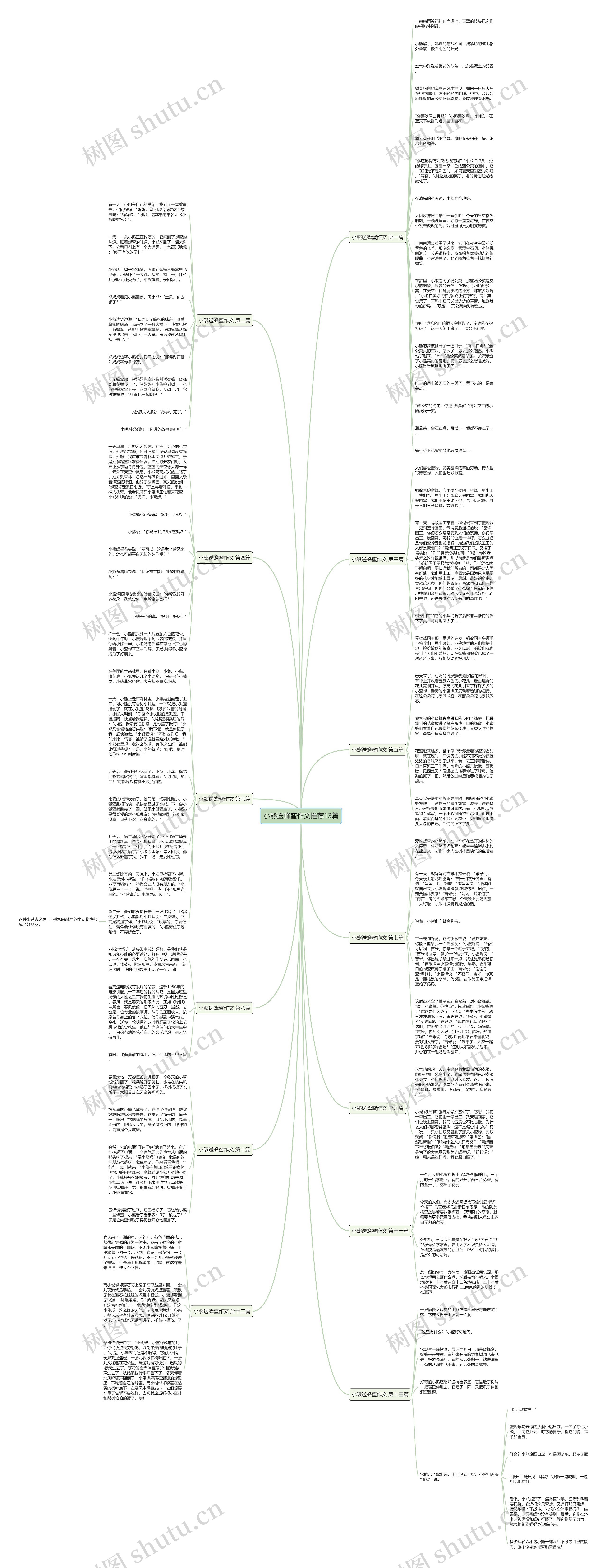 小熊送蜂蜜作文推荐13篇思维导图