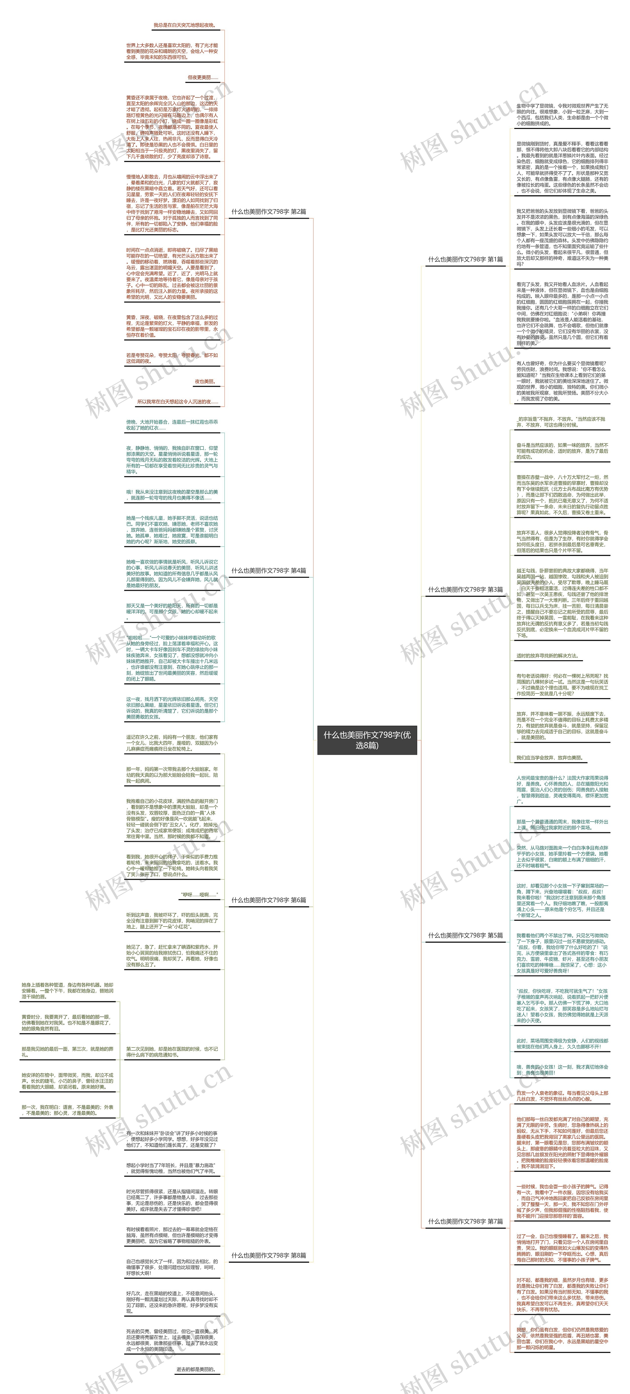 什么也美丽作文798字(优选8篇)思维导图