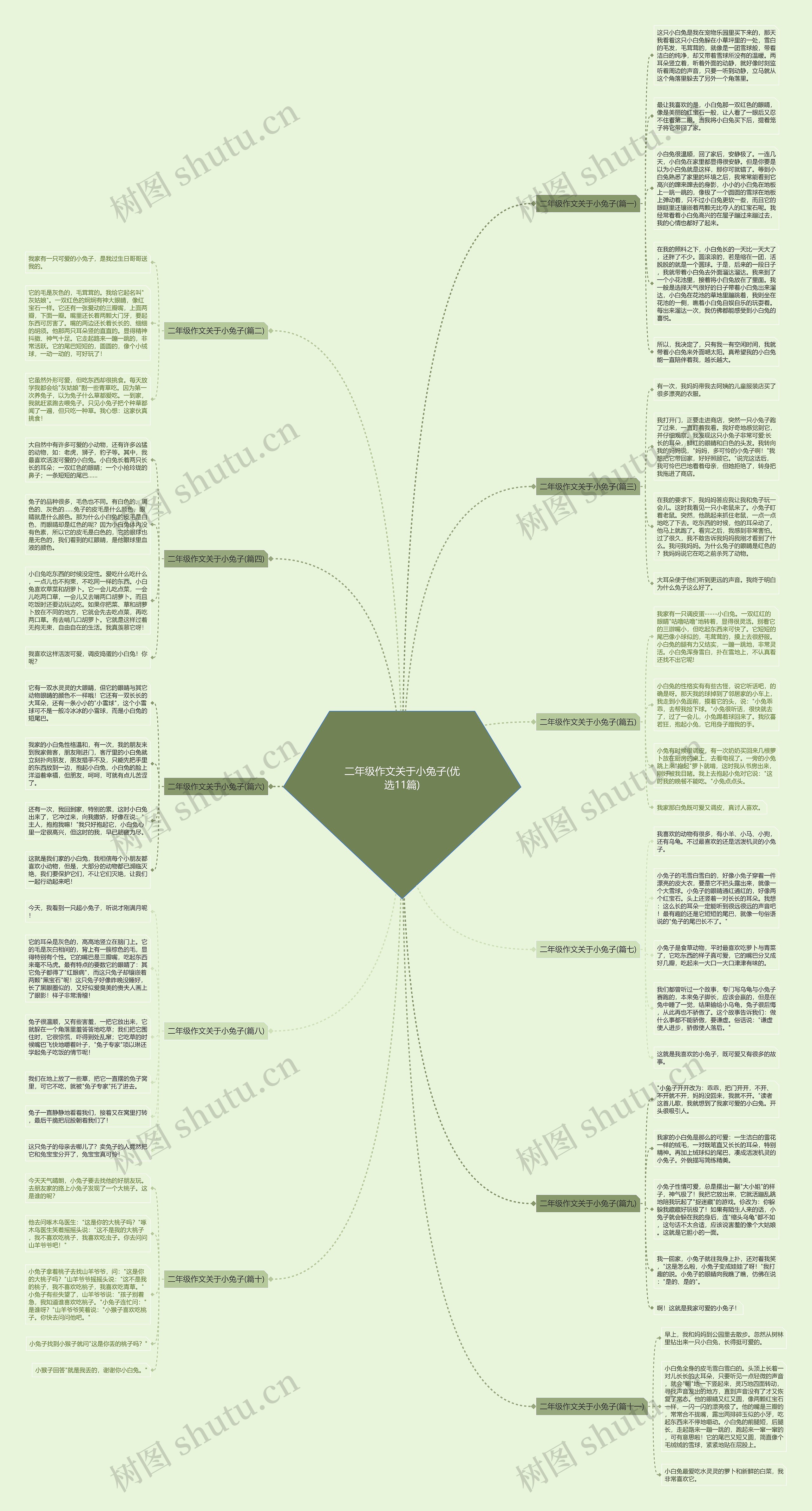 二年级作文关于小兔子(优选11篇)思维导图