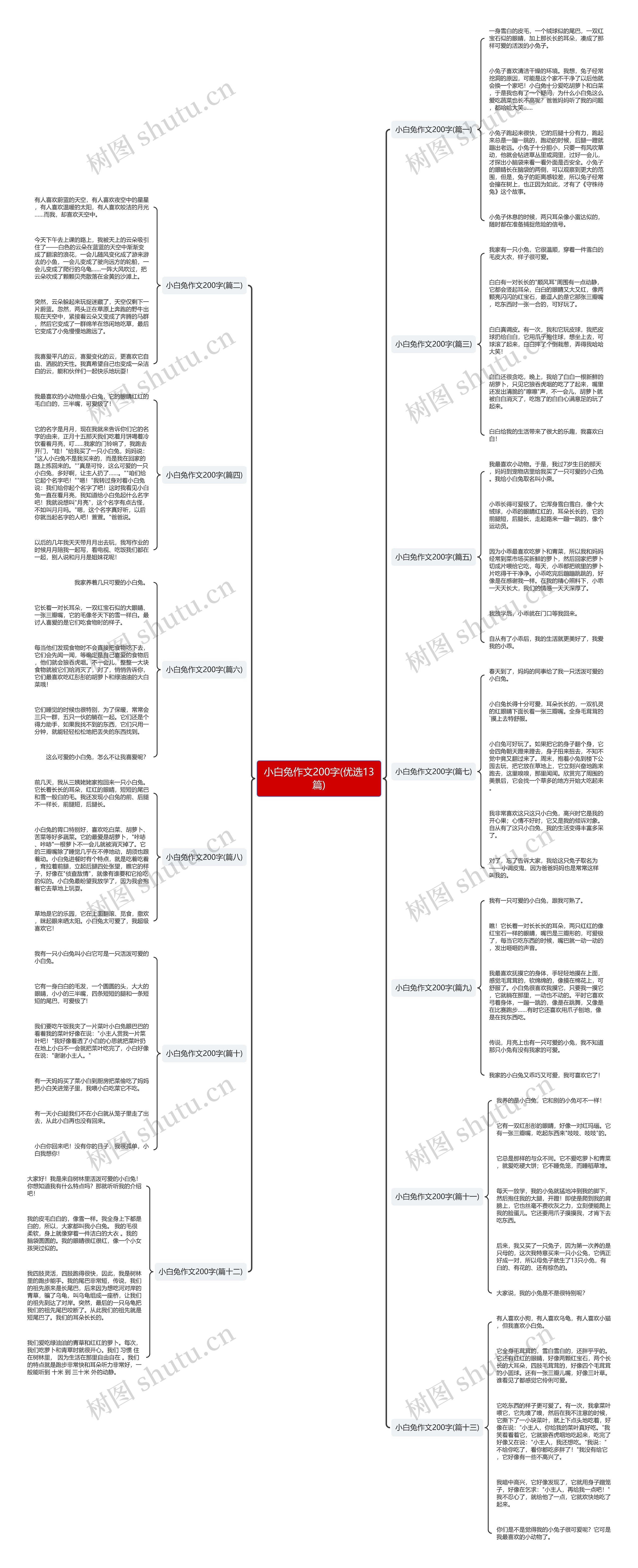 小白兔作文200字(优选13篇)思维导图