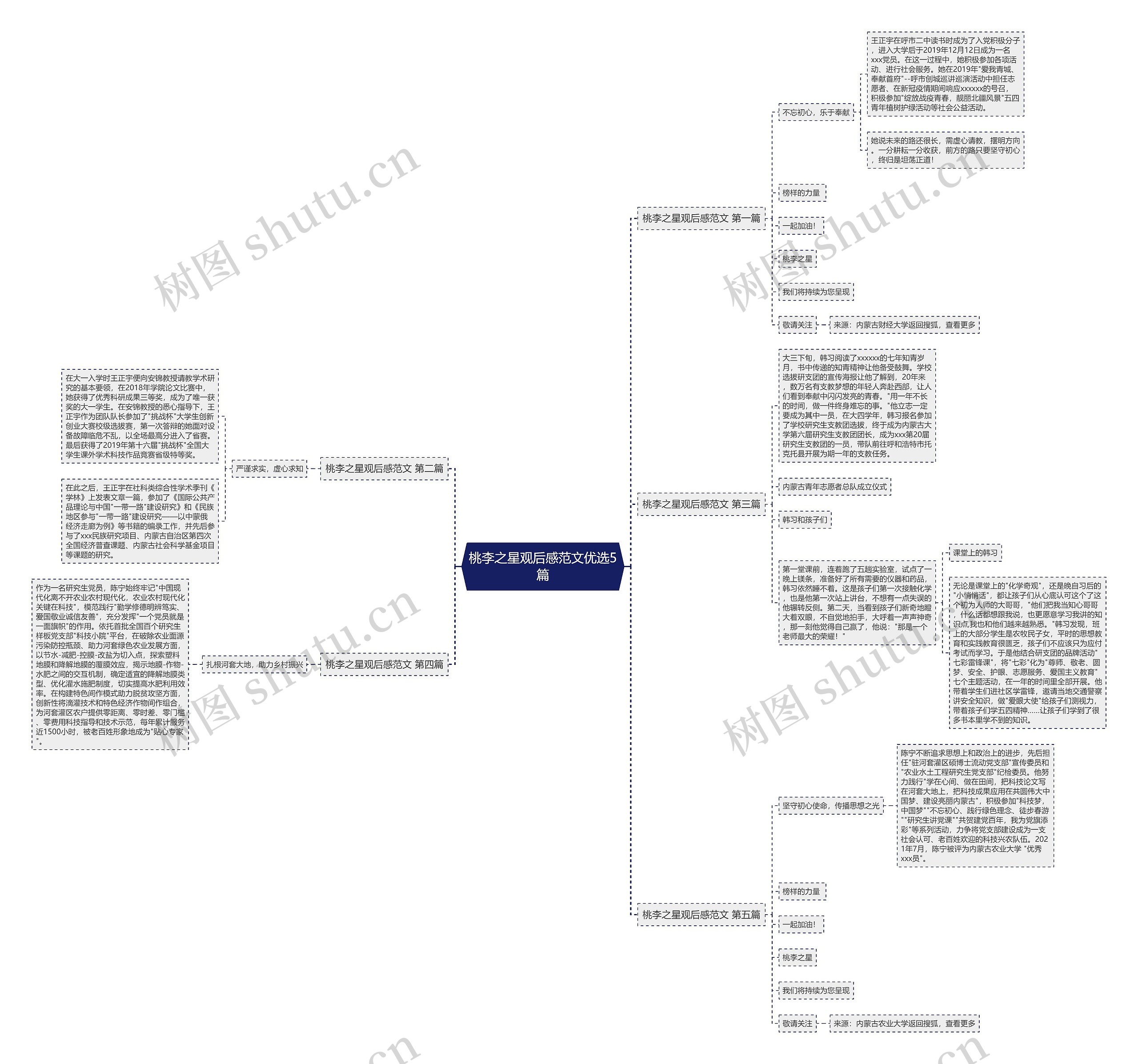 桃李之星观后感范文优选5篇思维导图