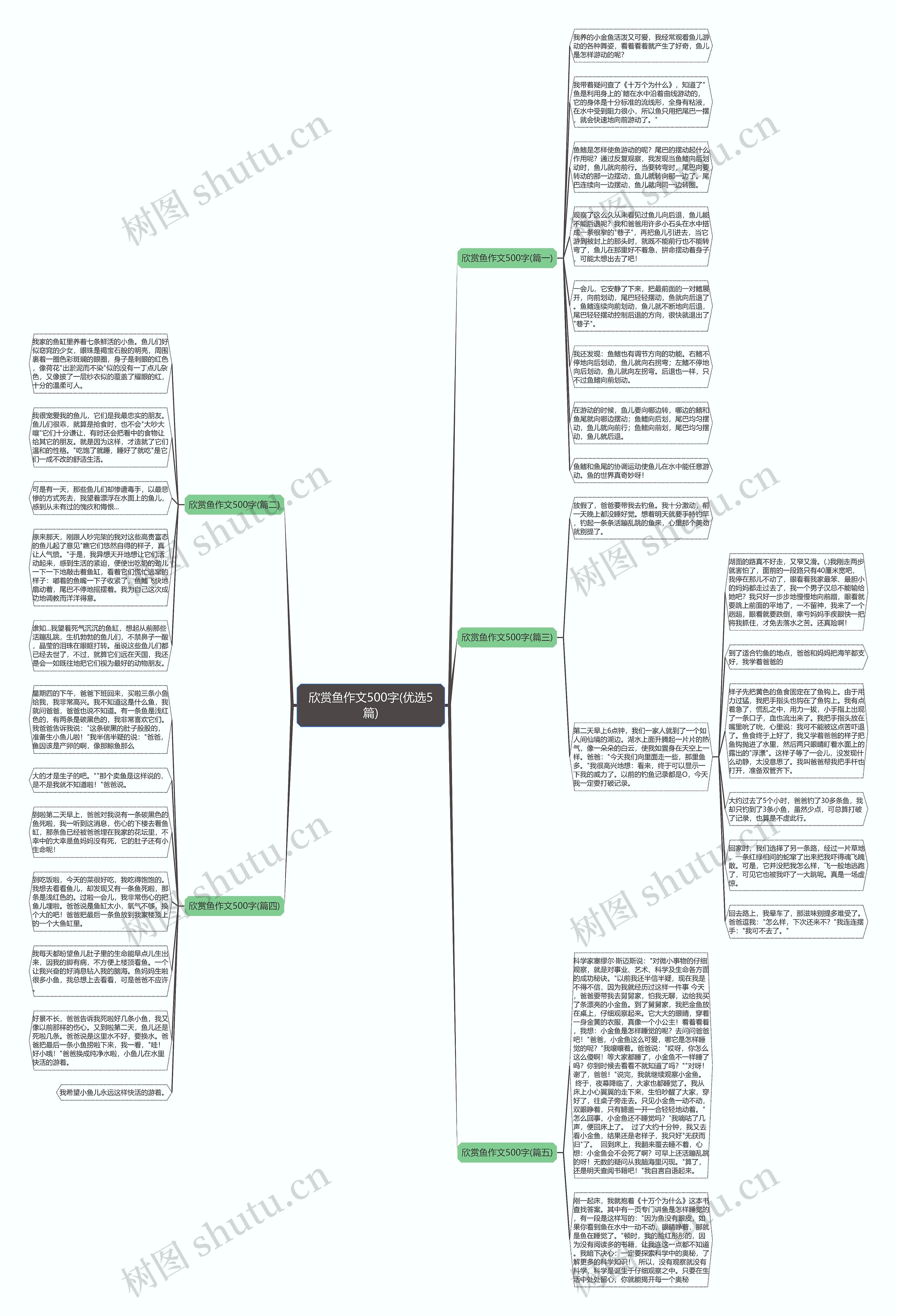 欣赏鱼作文500字(优选5篇)思维导图