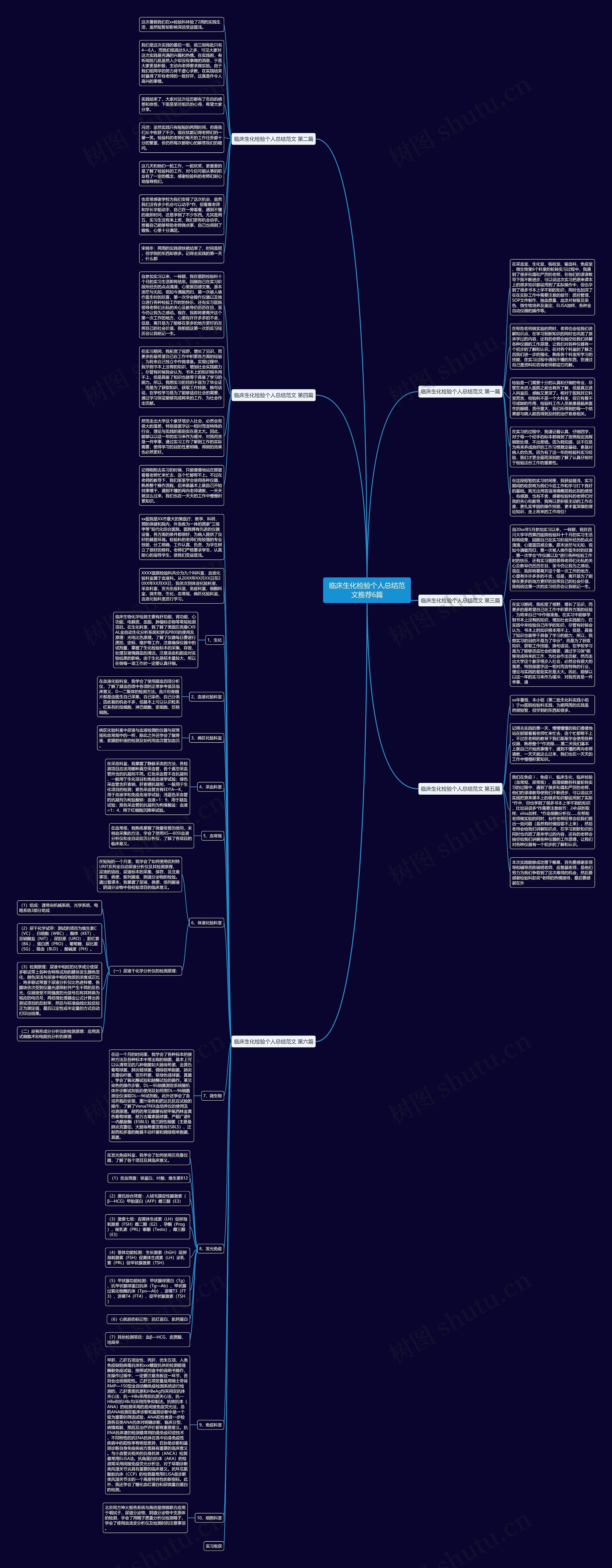 临床生化检验个人总结范文推荐6篇思维导图
