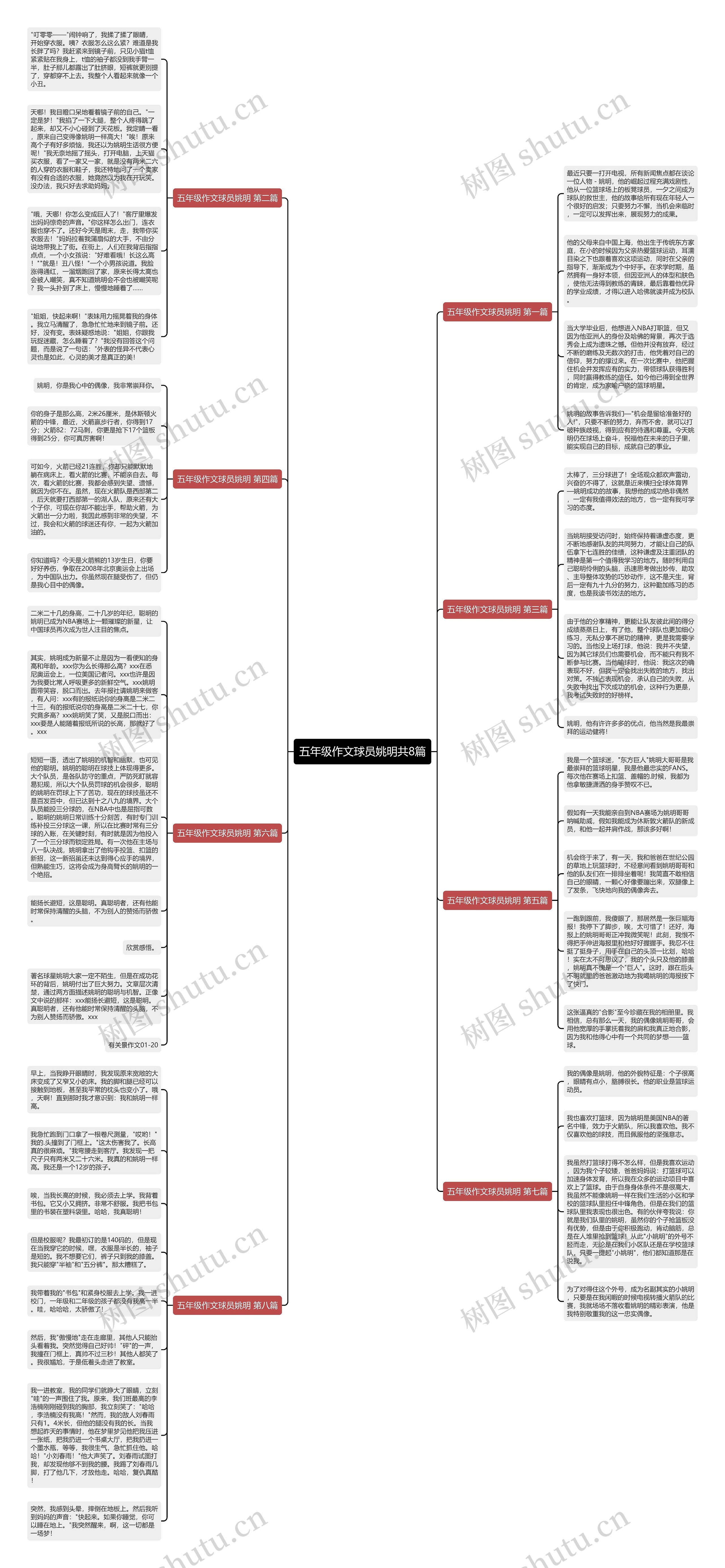 五年级作文球员姚明共8篇思维导图