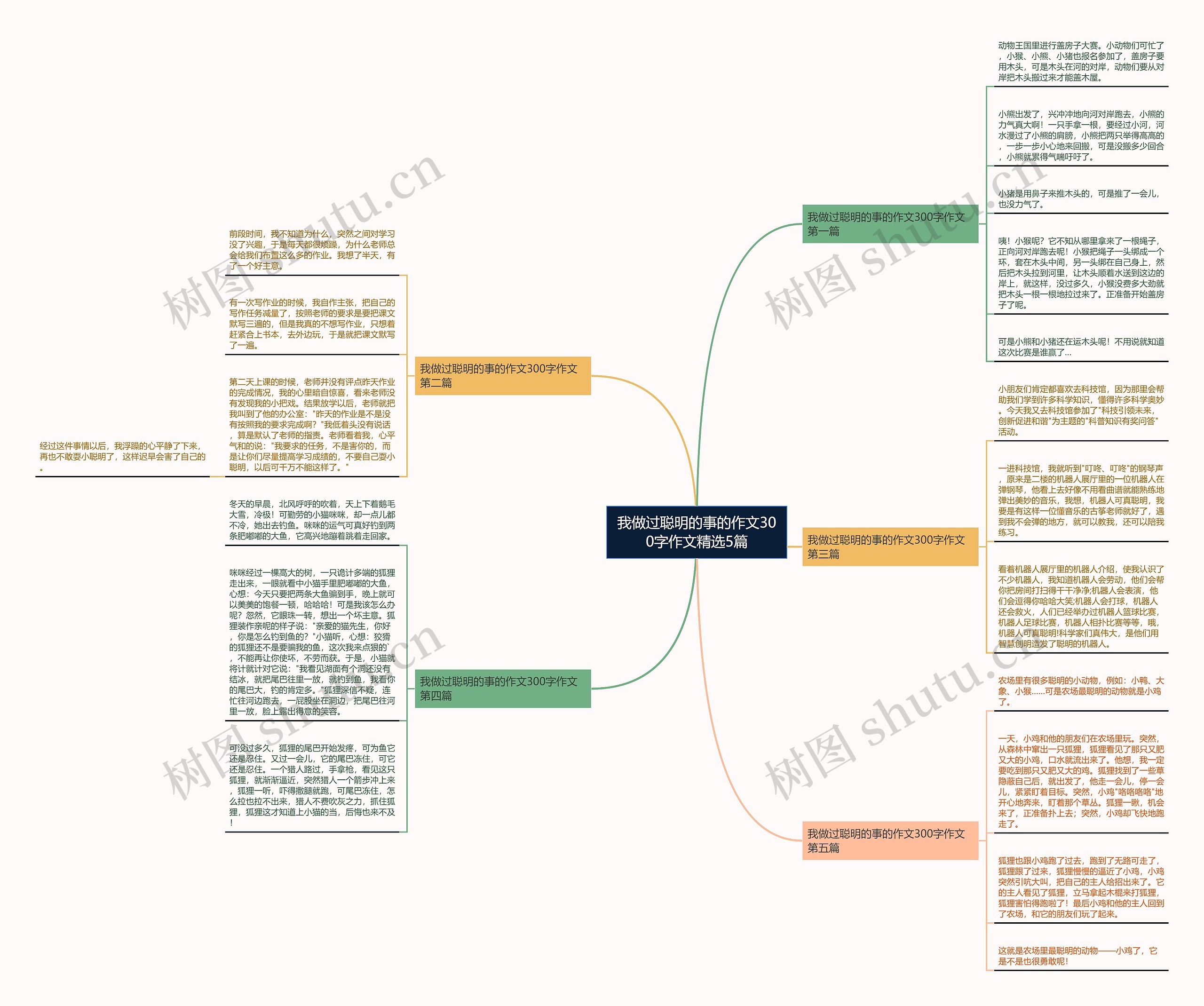 我做过聪明的事的作文300字作文精选5篇思维导图
