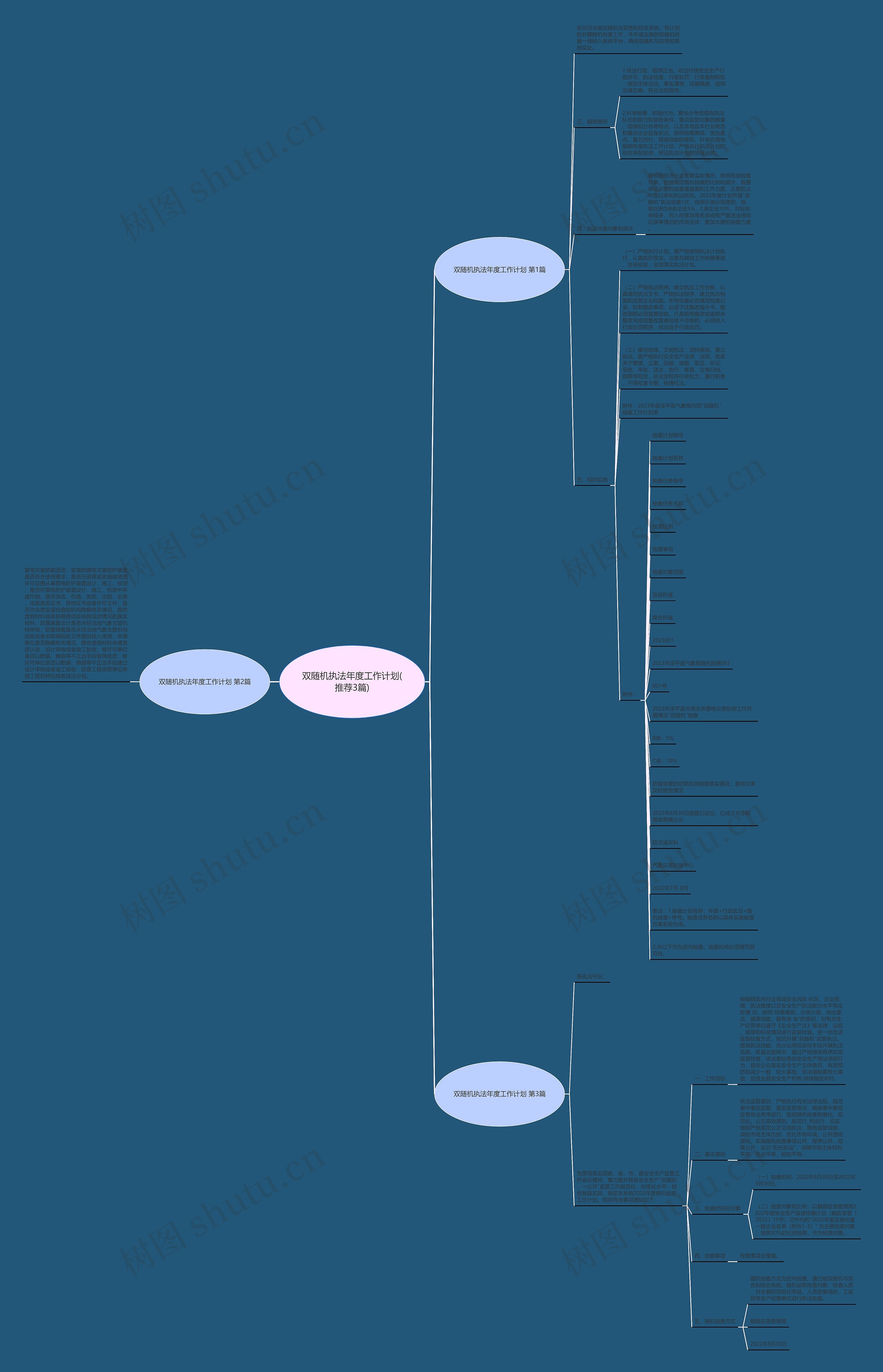 双随机执法年度工作计划(推荐3篇)思维导图