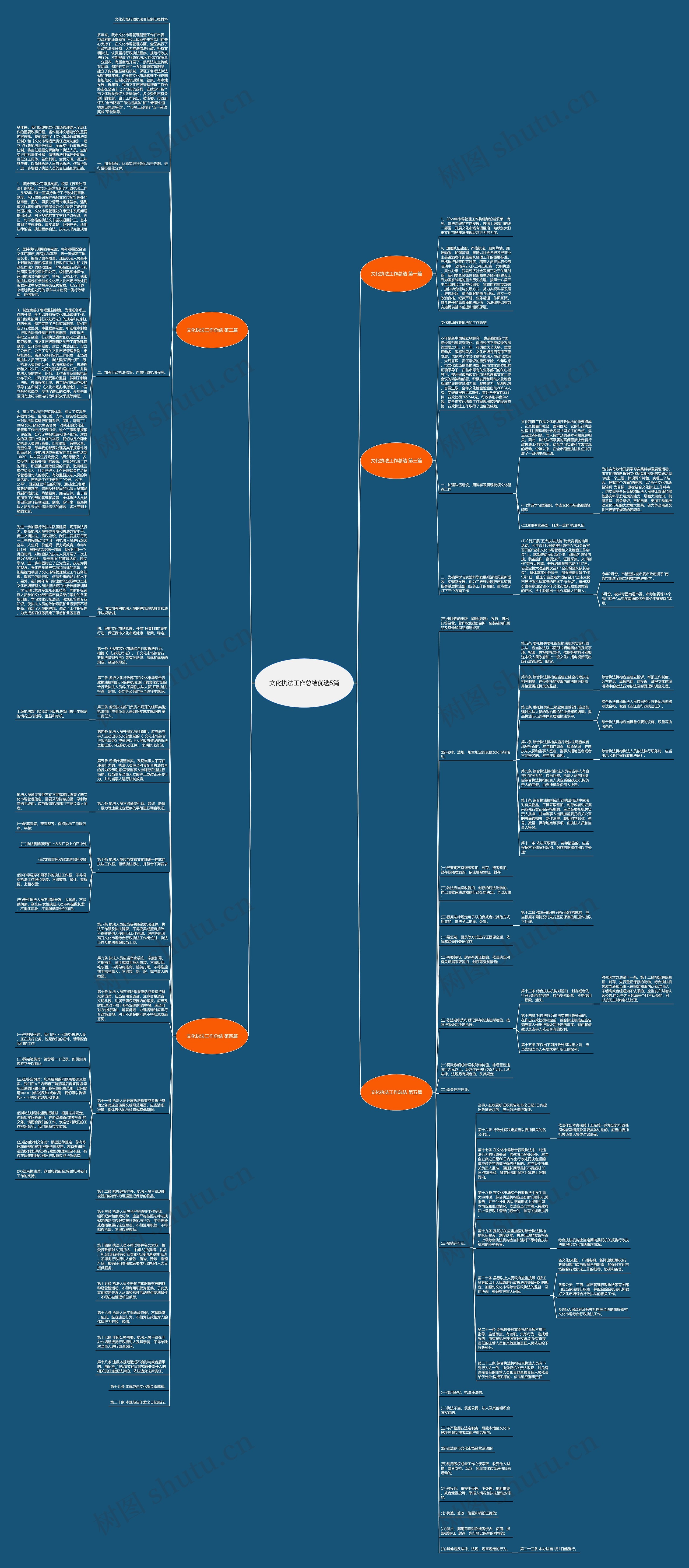 文化执法工作总结优选5篇思维导图