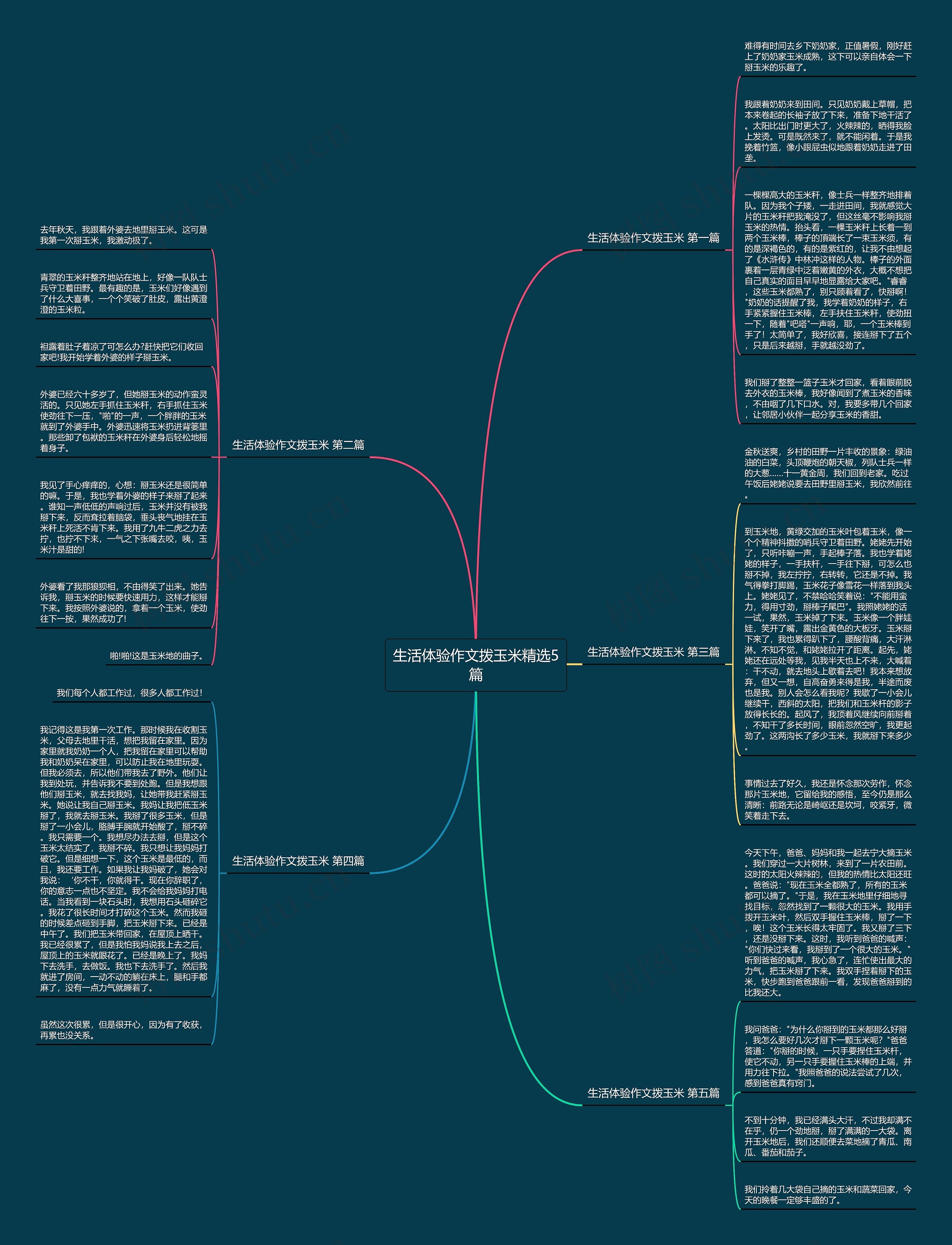 生活体验作文拨玉米精选5篇思维导图