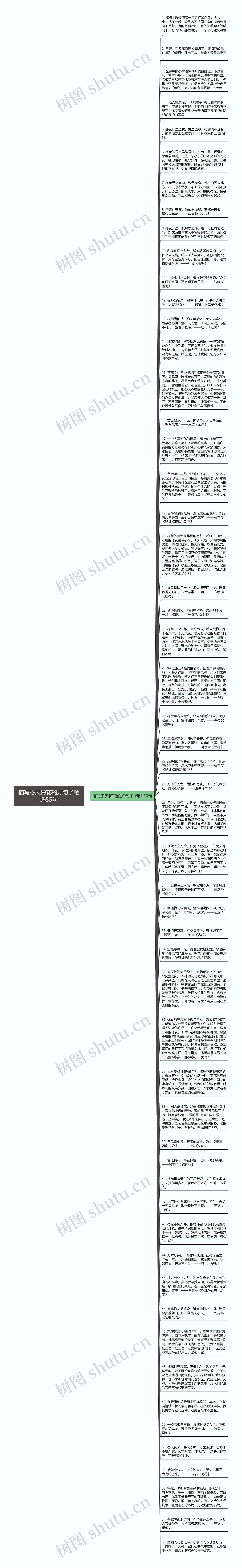 描写冬天梅花的好句子精选55句思维导图