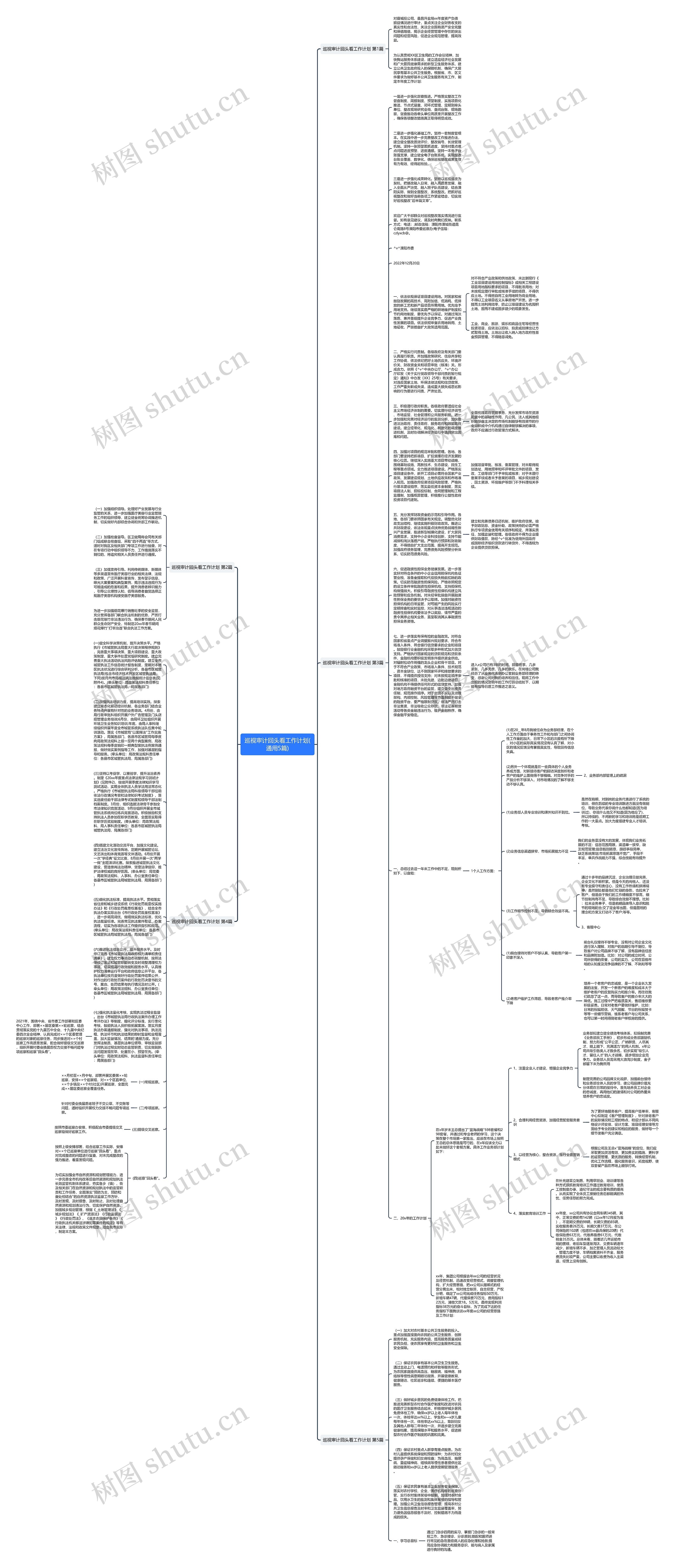 巡视审计回头看工作计划(通用5篇)思维导图